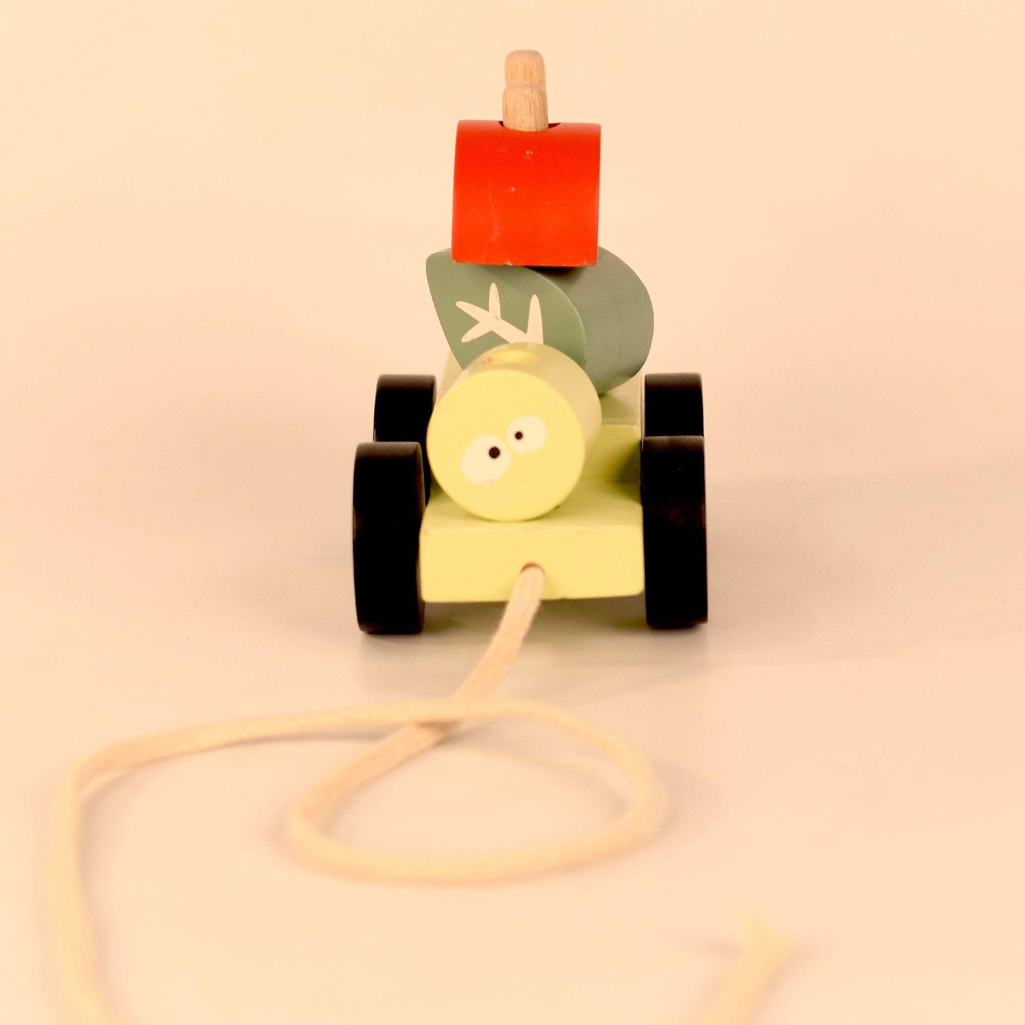 Pull Along Forest Toy Set Non-Toxic Push Pull String Toys