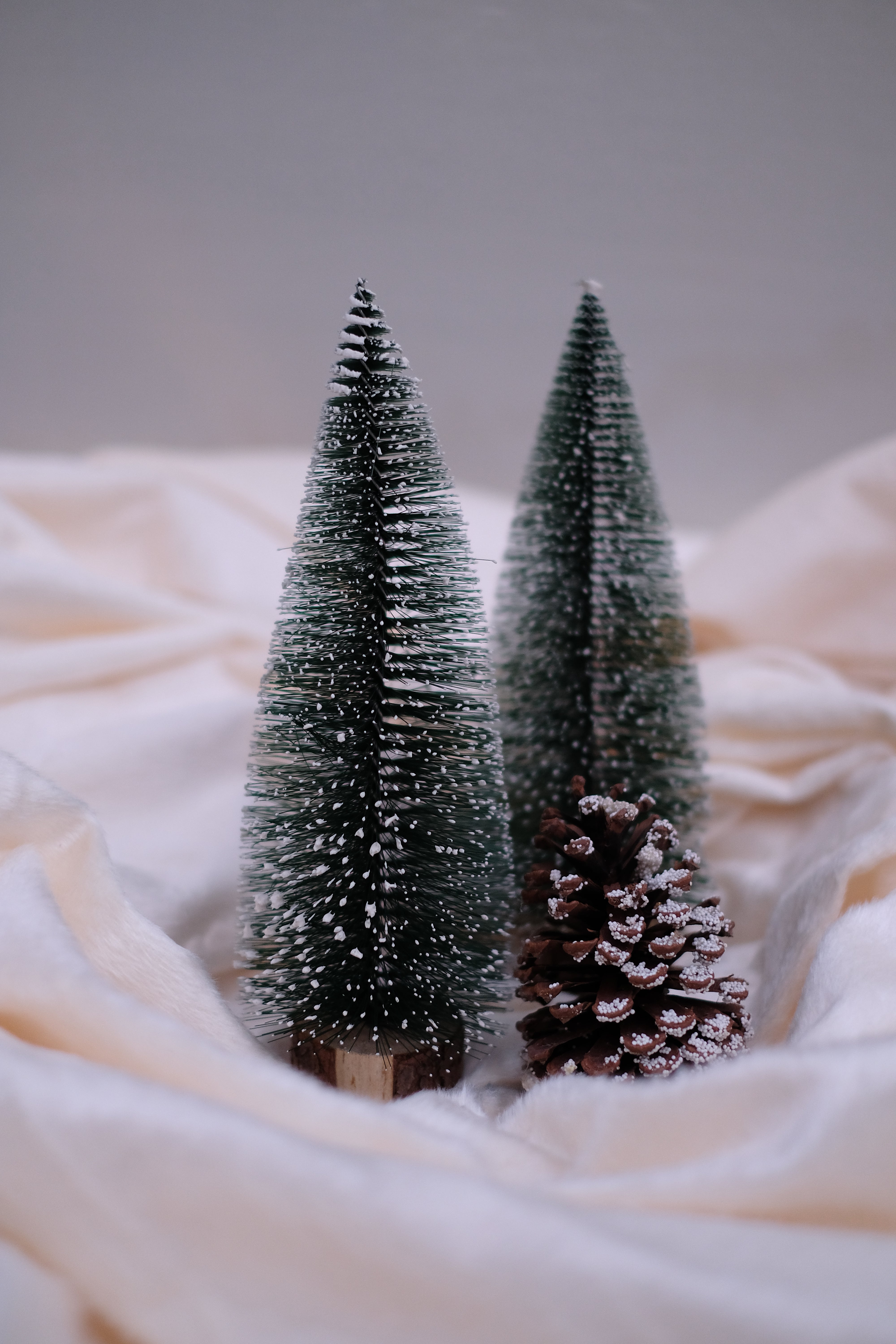 JANE tabletop Christmas tree with frosting and wooden base – pack of 3