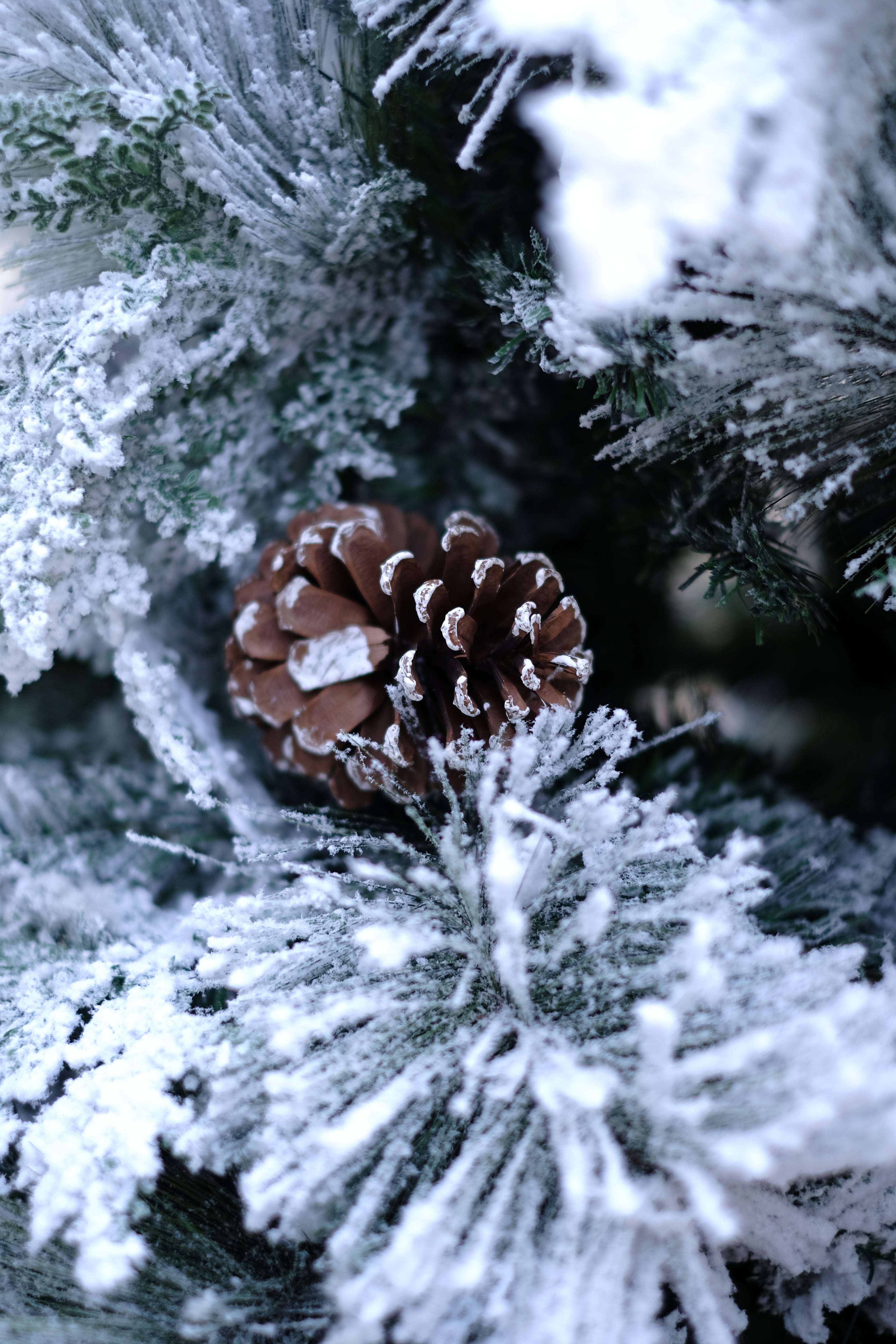 TRUE STAR Christmas tree with broad pine leaves, frosting and pine cones – 8 feet