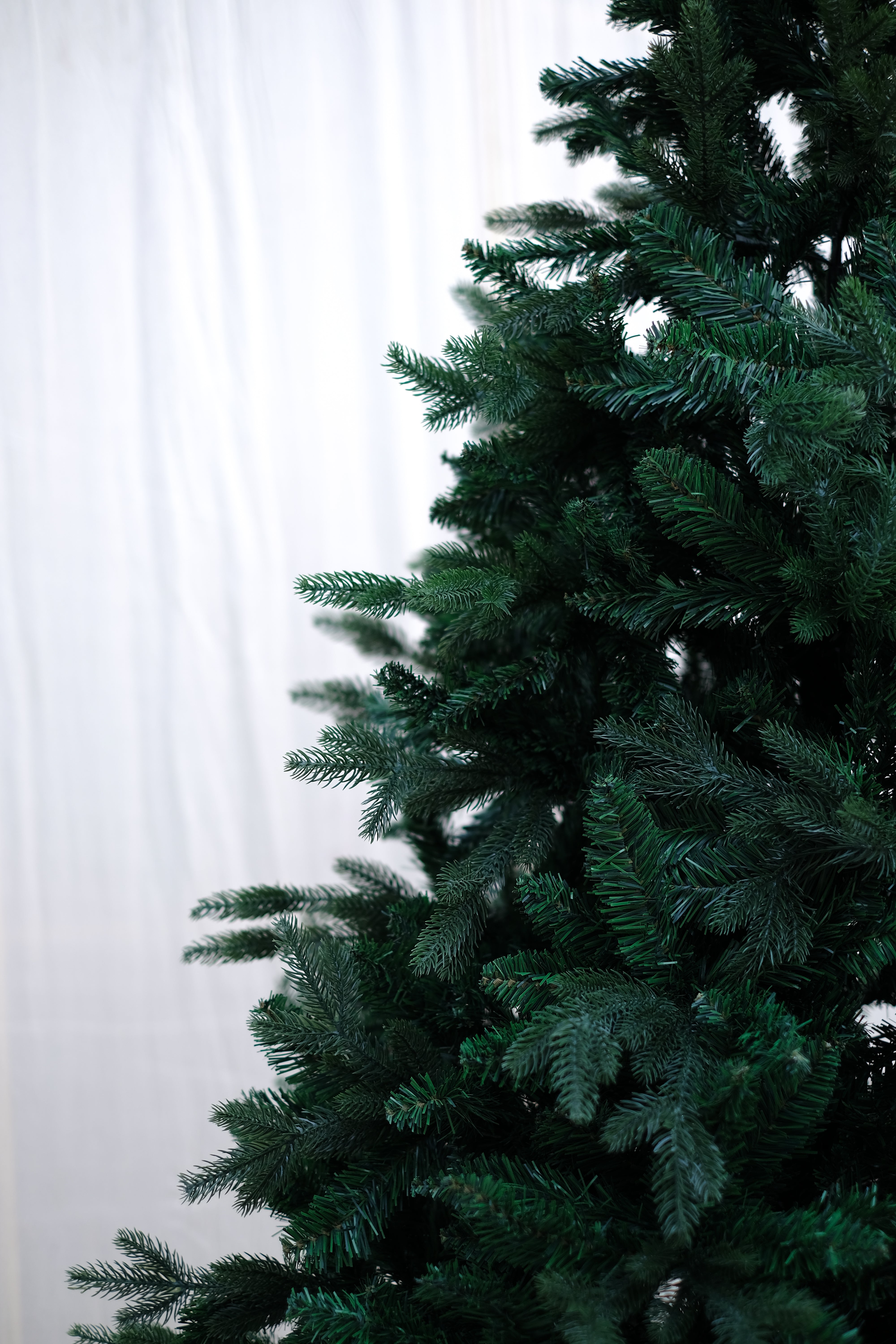 NAPA Christmas tree – 8 feet