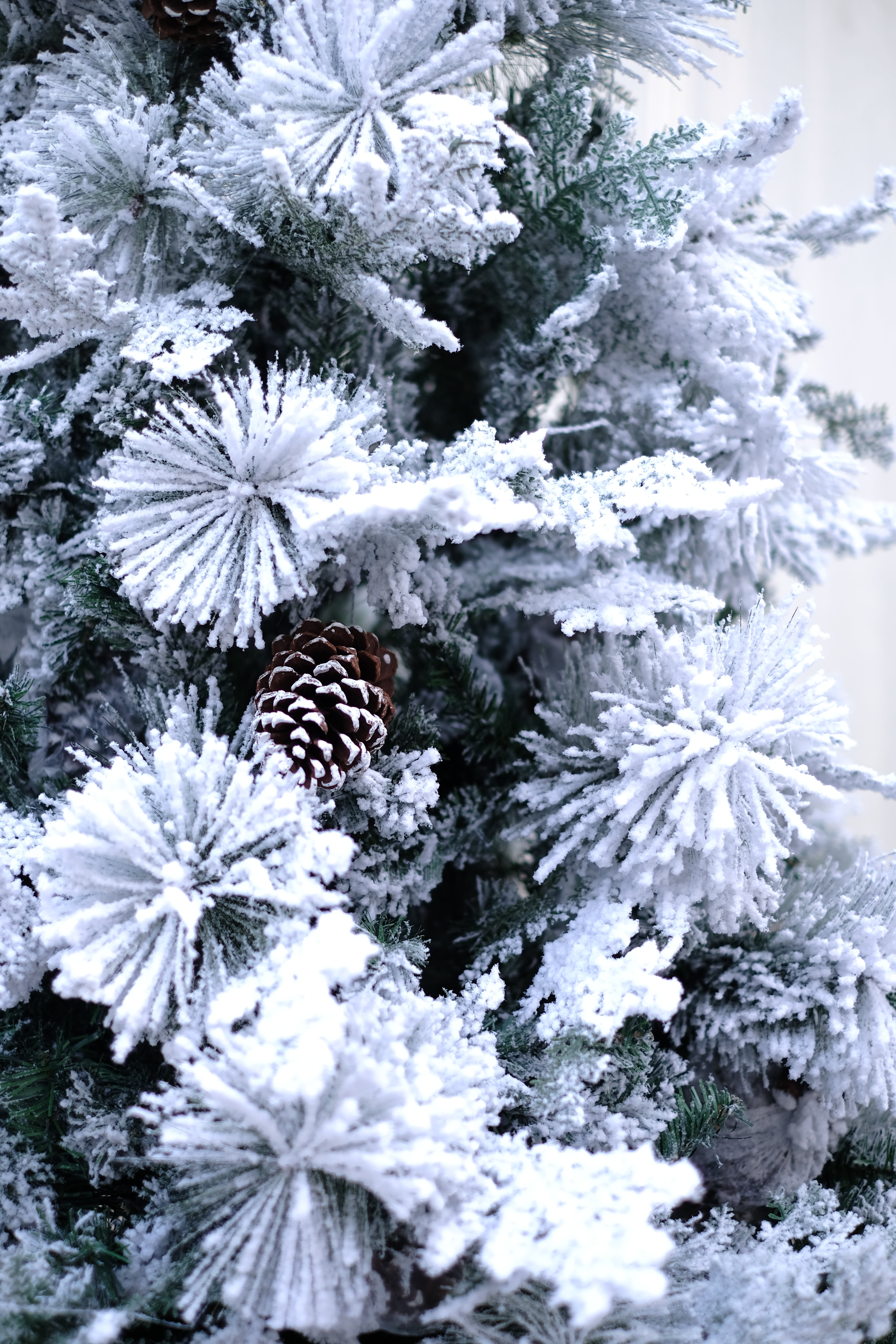 TRUE STAR Christmas tree with broad pine leaves, frosting and pine cones – 8 feet