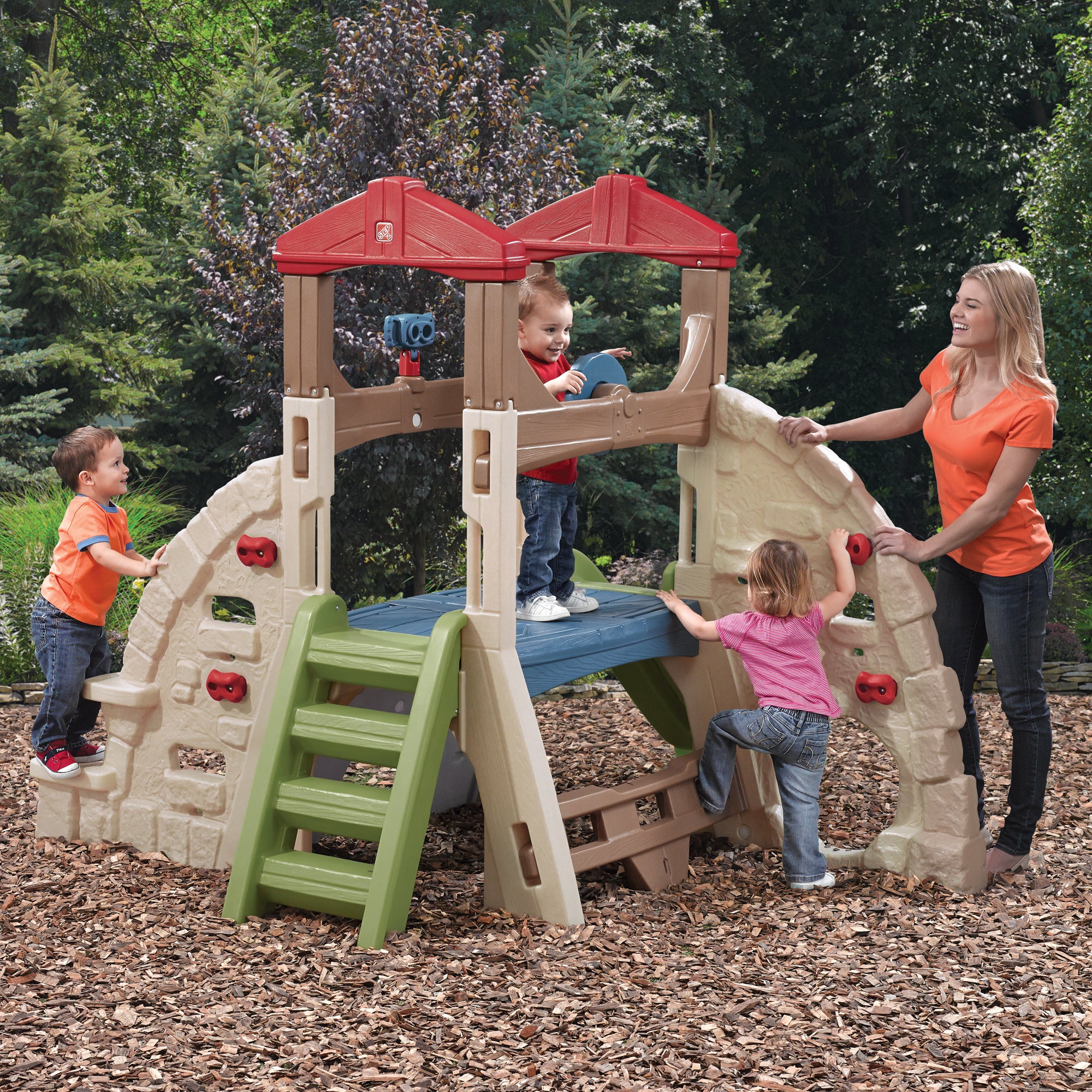 Alpine Ridge Climber And Slide