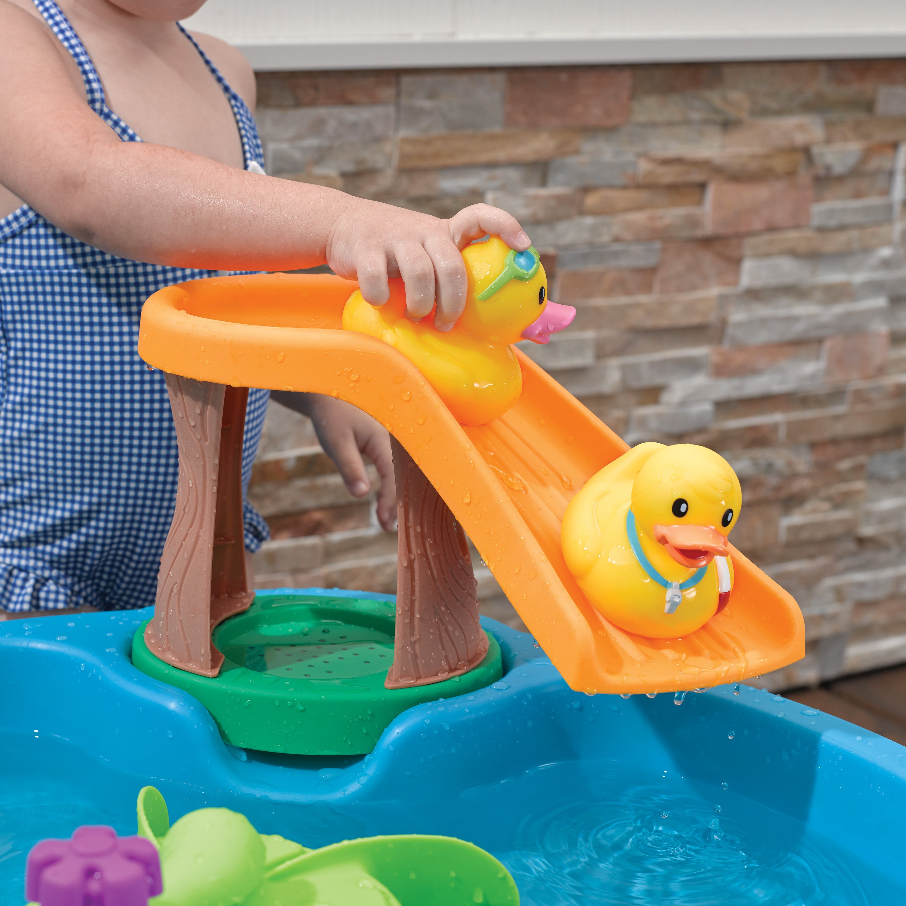 Duck Pond Water Table