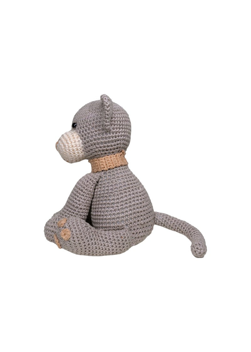 Kitten