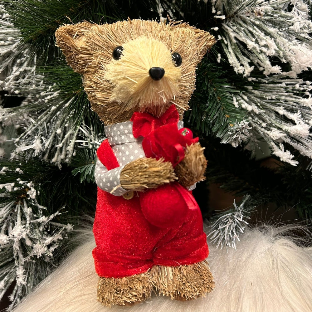 Thomas the Cane Teddy