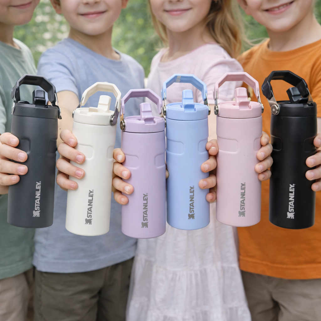 Stanley 17oz | IceFlow™ Bottle with Flip Straw Lid – Lilac Calm