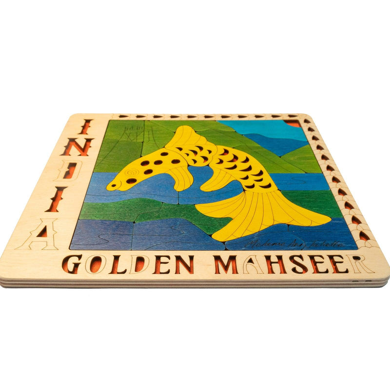Golden Mahseer - Totdot