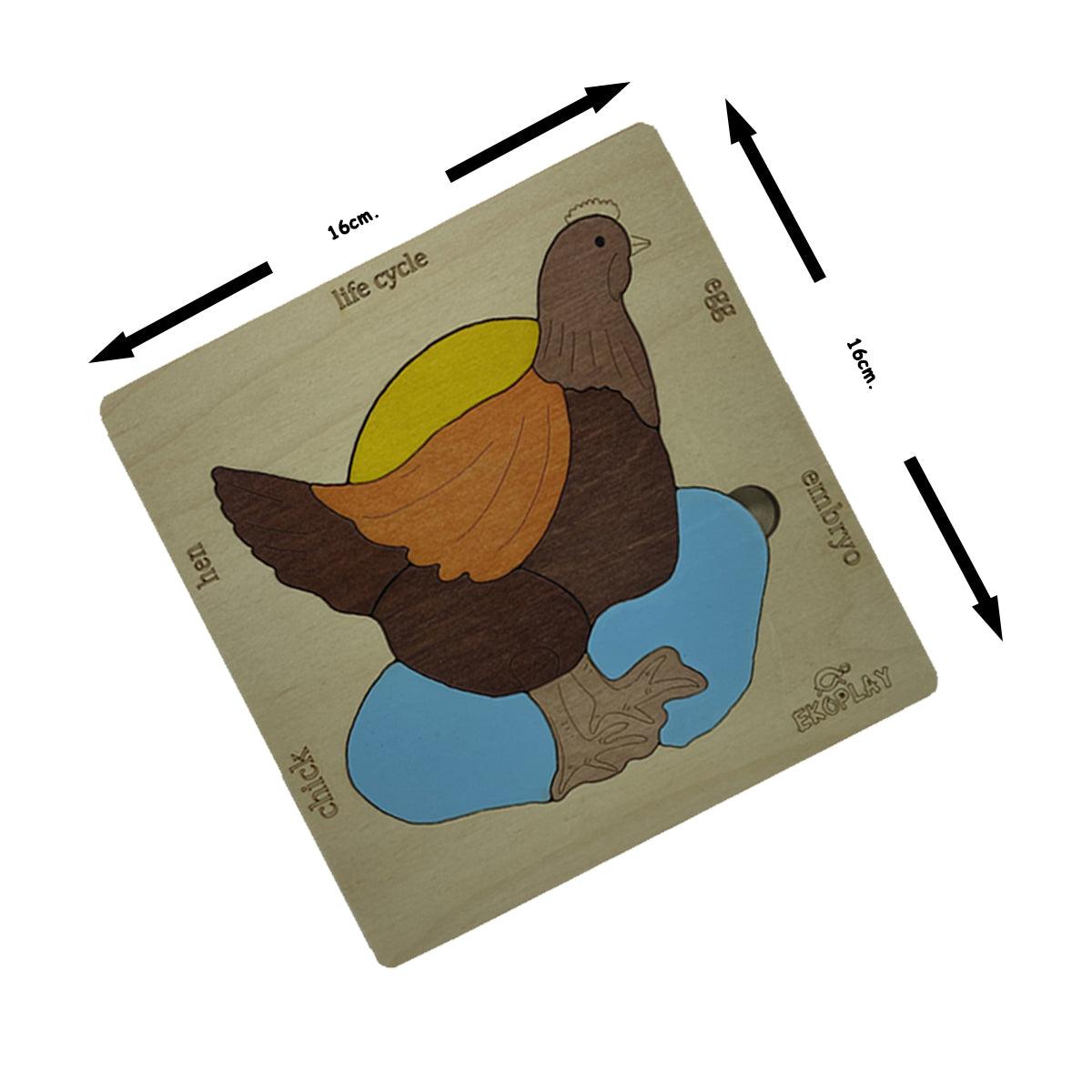 Life cycle of a Chicken - Totdot