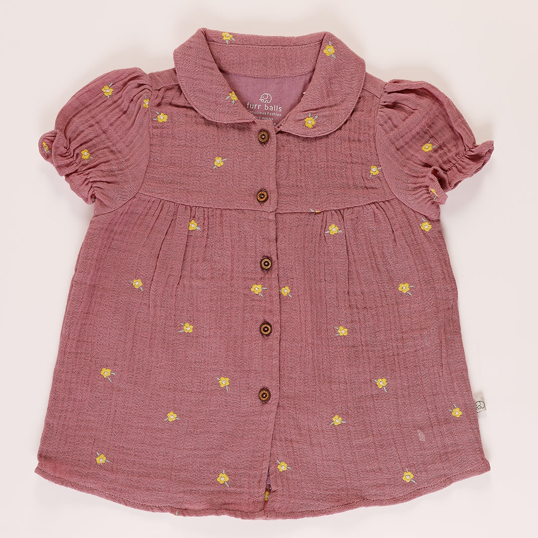 Baby embroidered peter pan collared dress