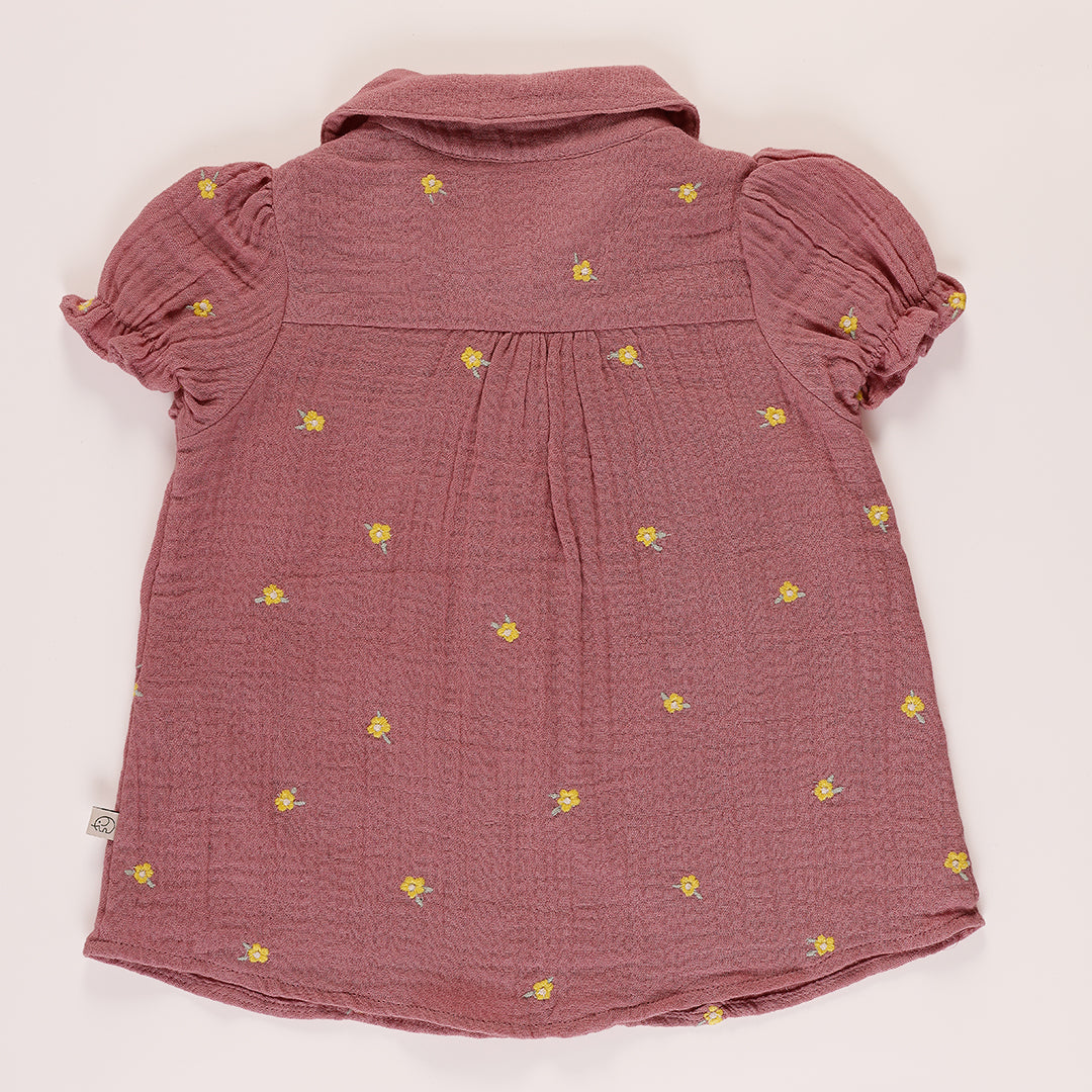 Baby embroidered peter pan collared dress