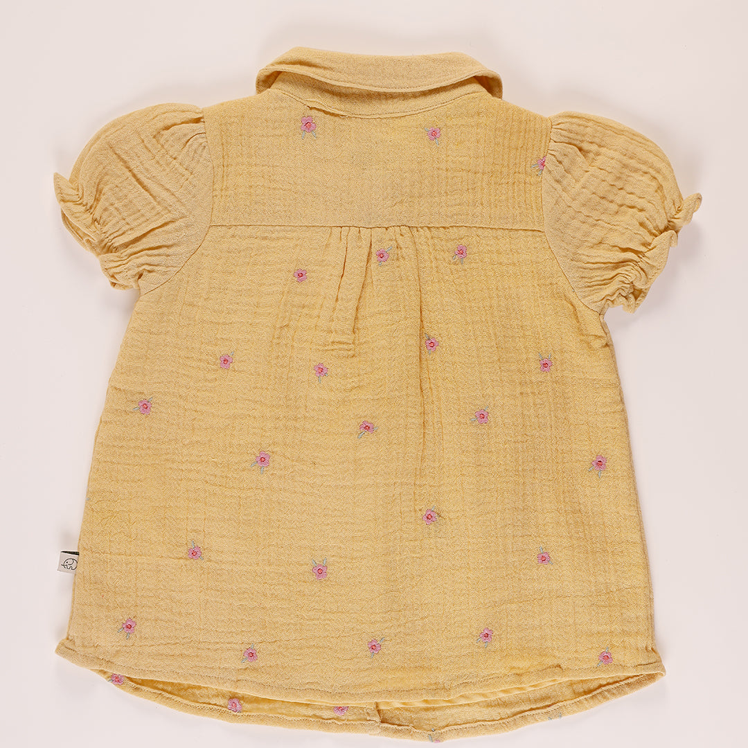 Baby embroidered peter pan collared dress