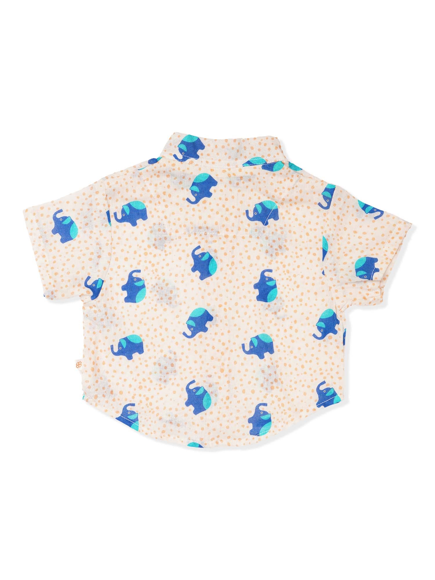 Tweet Treat - Baby Boy Shirt - Totdot