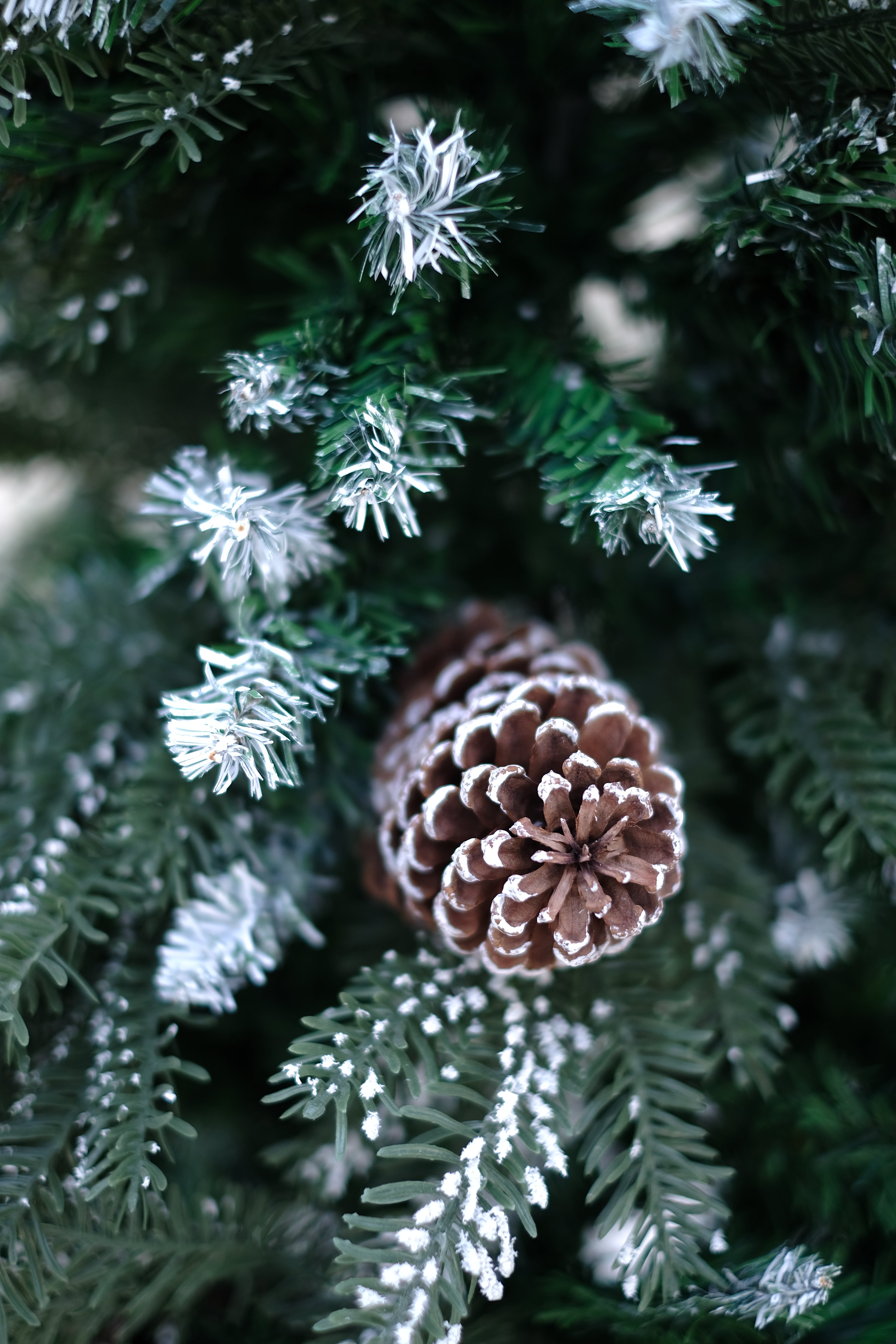 BALSAM Christmas tree with light frosting and large pine cones – 4 feet