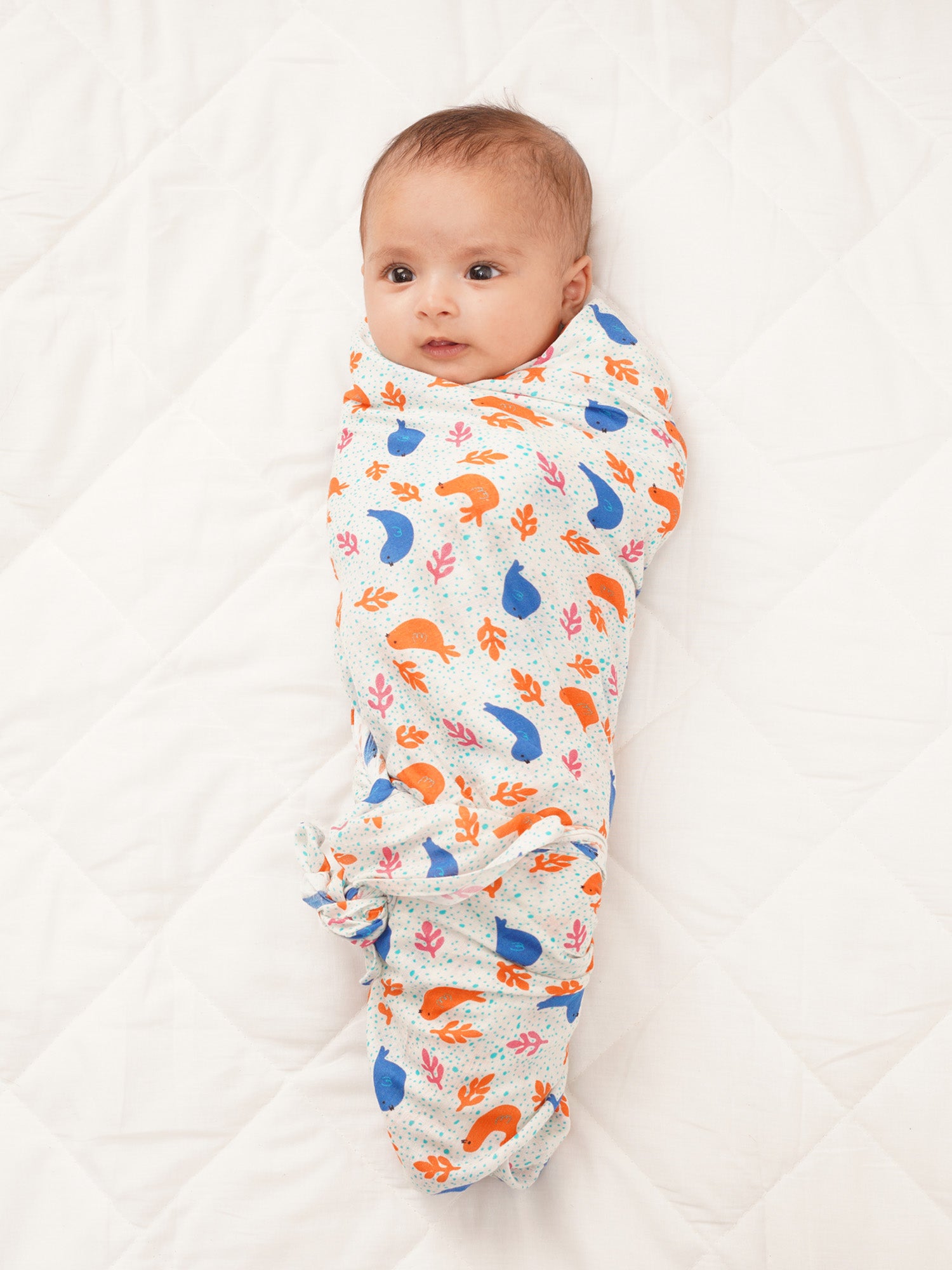 Blue Safari Cotton Muslin Swaddle Wrap for New Born (Pack of 2) - Totdot