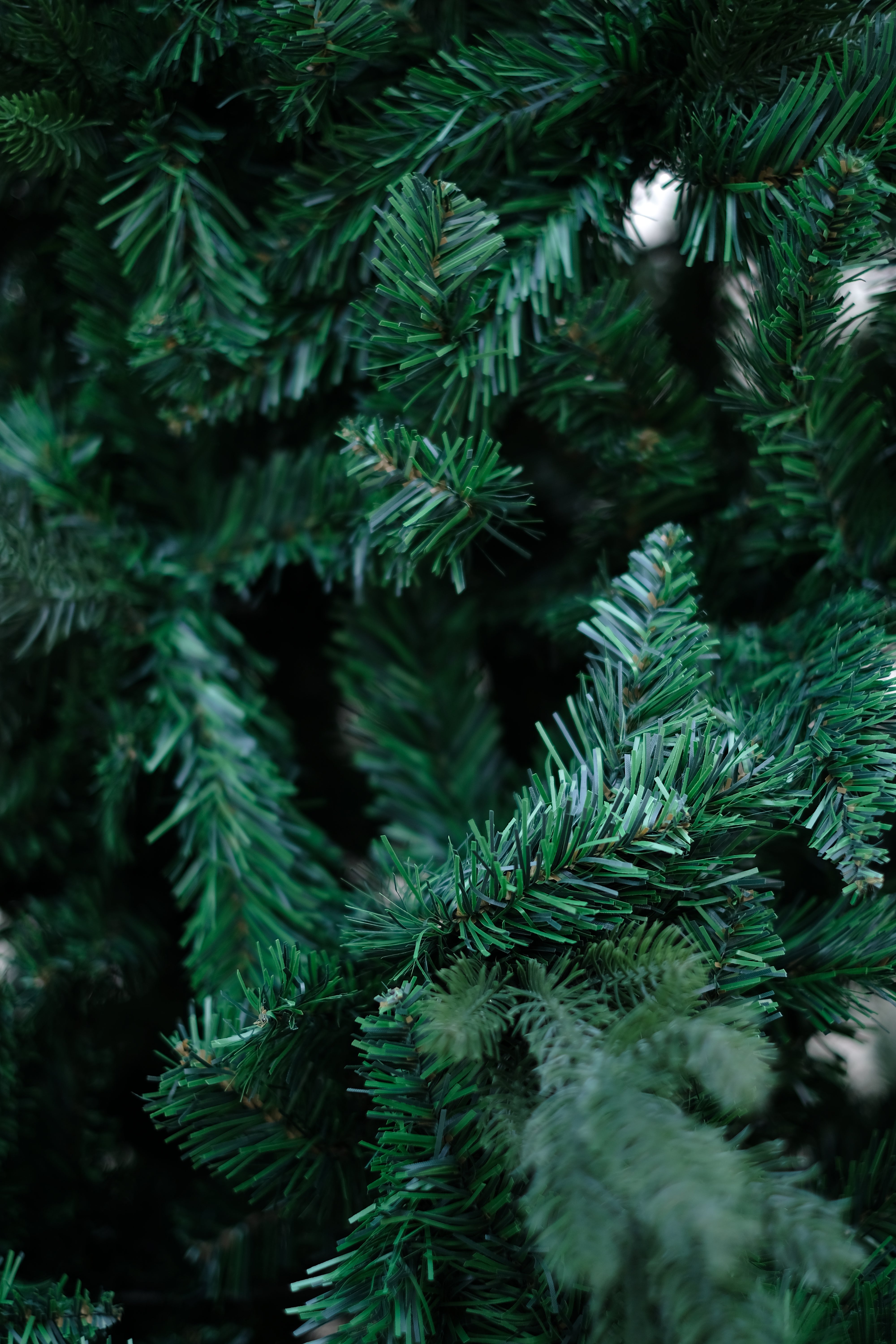 NAPA Christmas tree – 8 feet