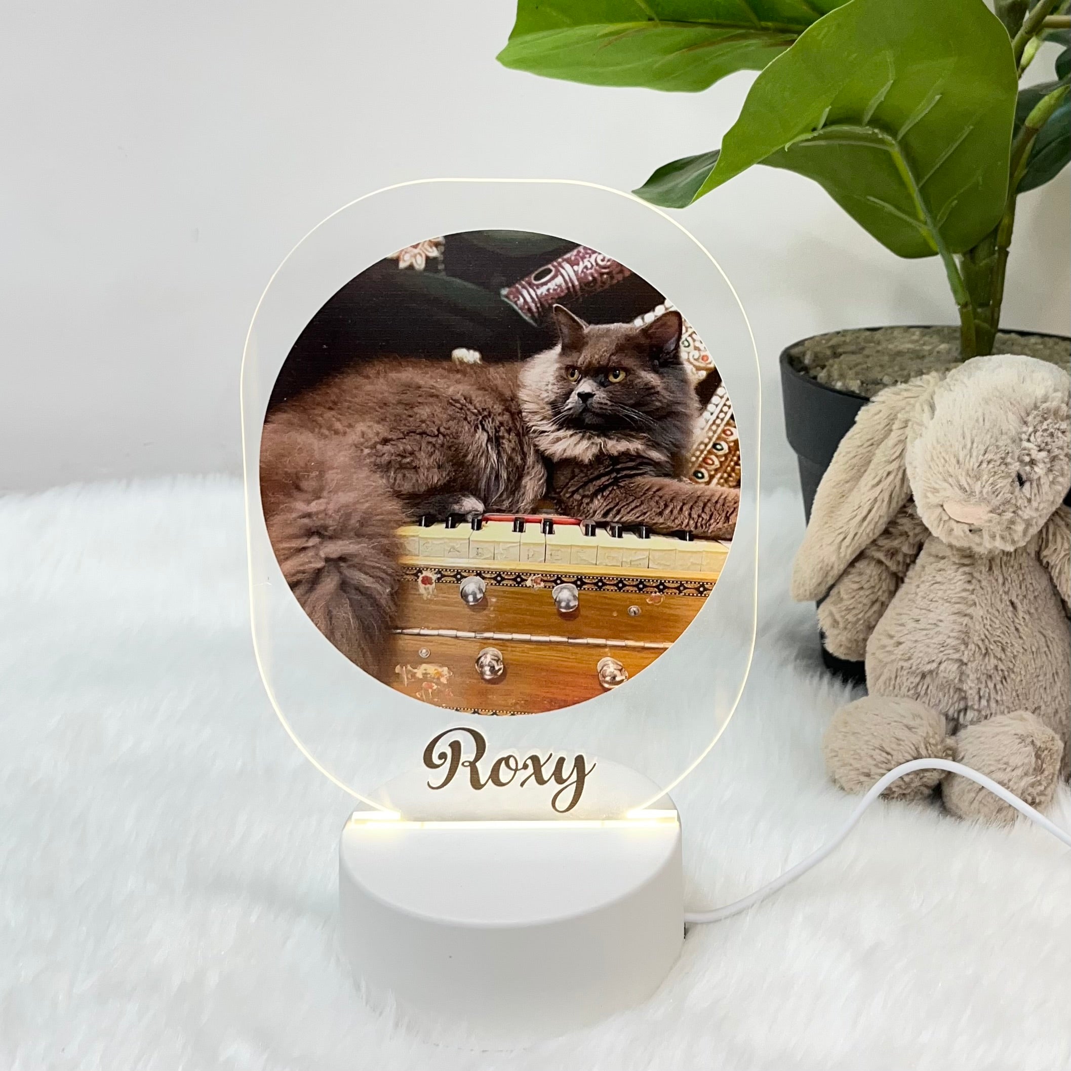 Mighty Paws - Acrylic LED Night Lamp