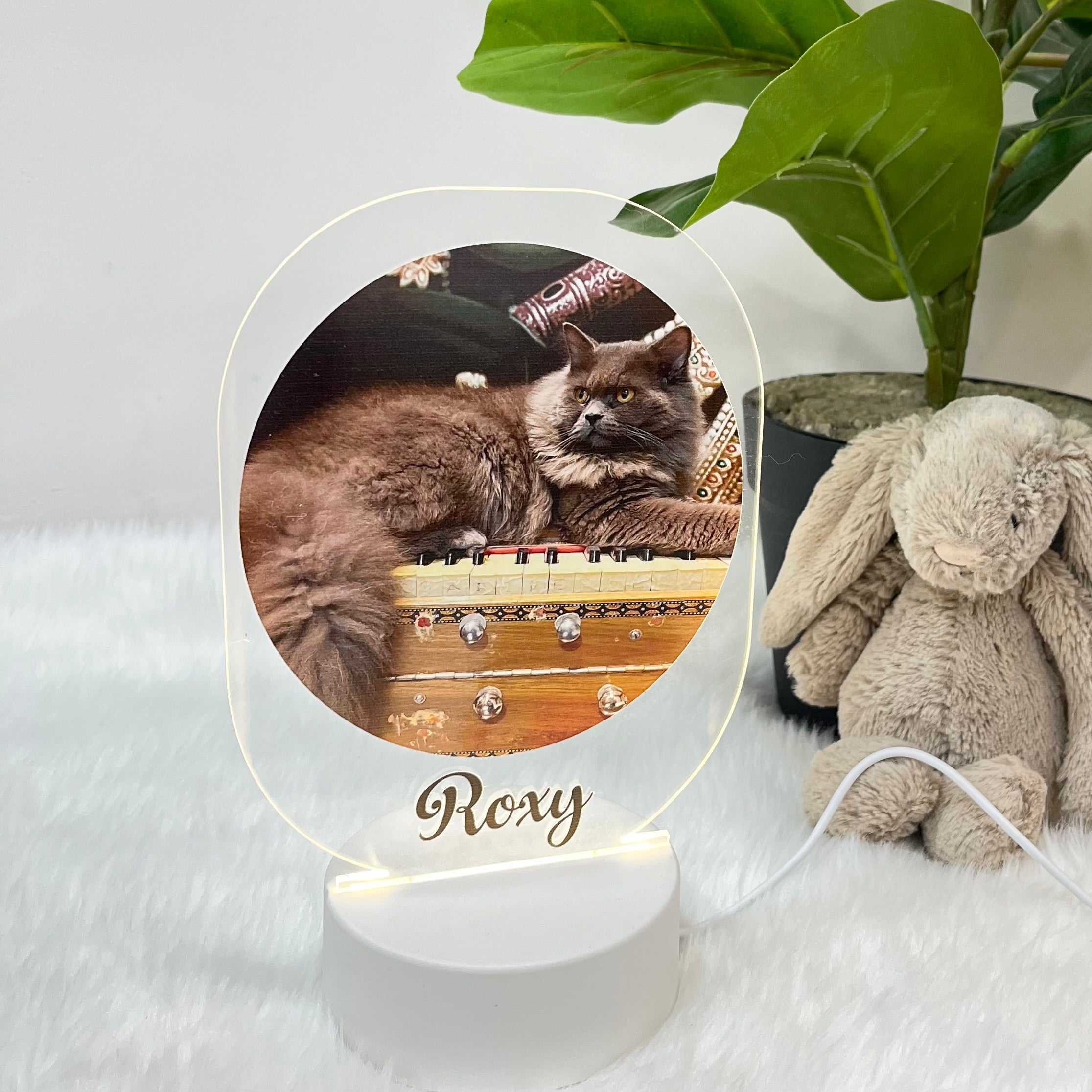 Mighty Paws - Acrylic LED Night Lamp