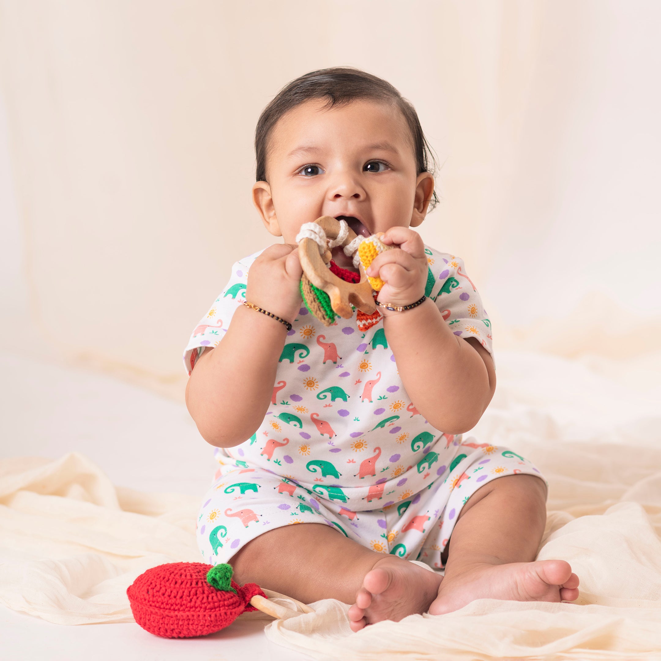 Fruit Teethers/Toy - Neem Wood