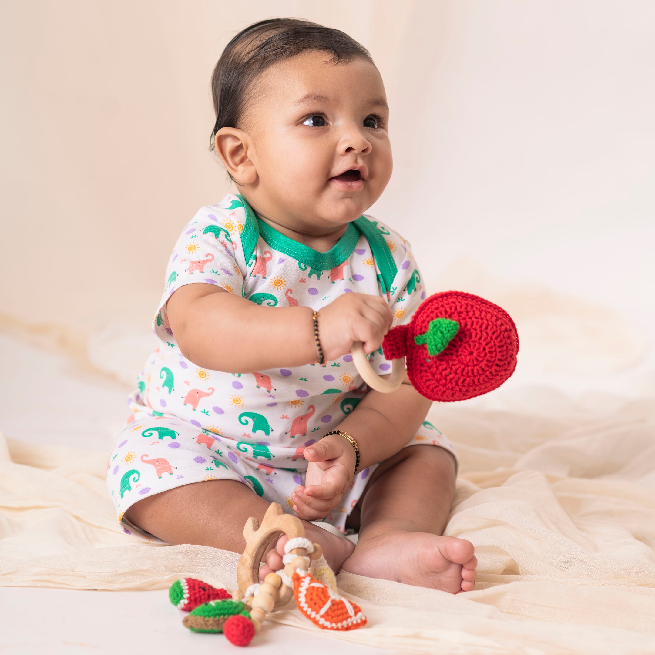 Fruit Teethers/Toy - Neem Wood