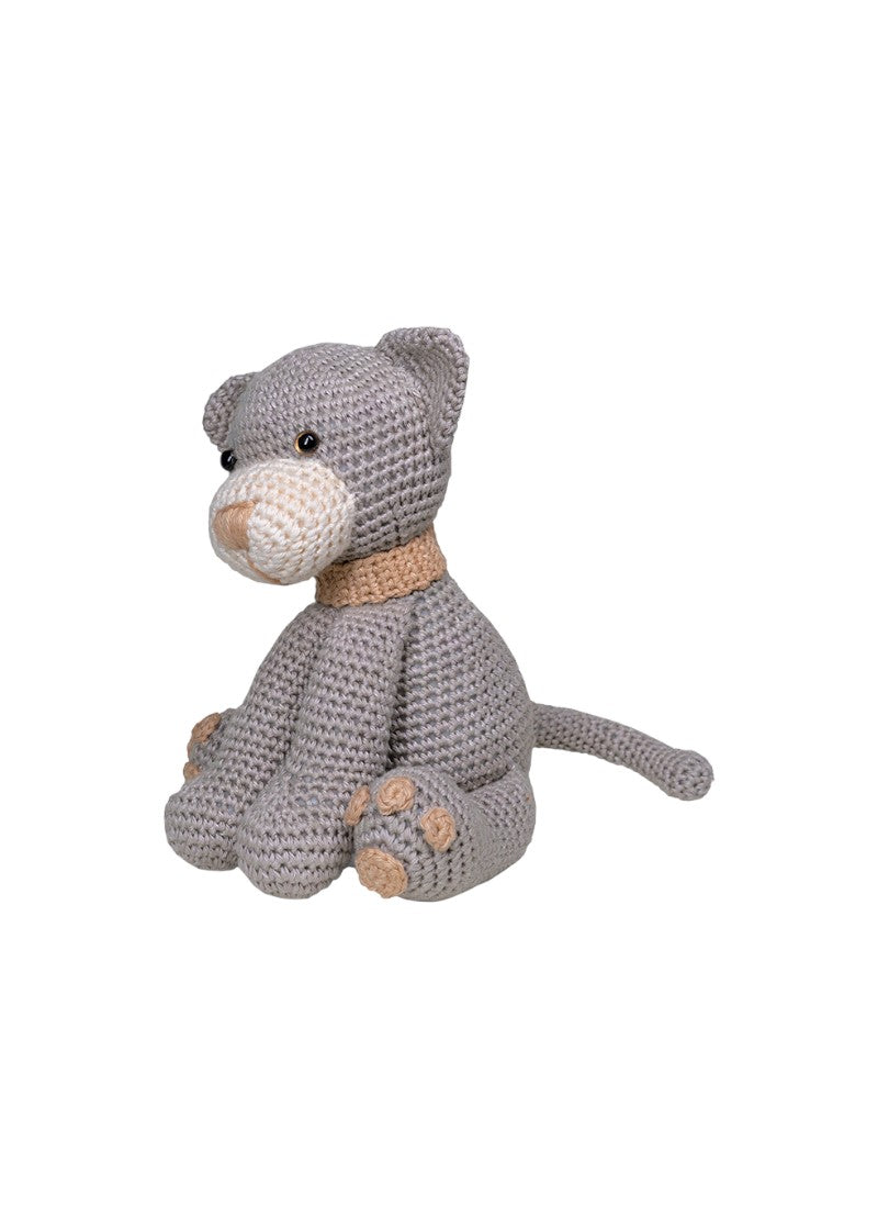 Kitten