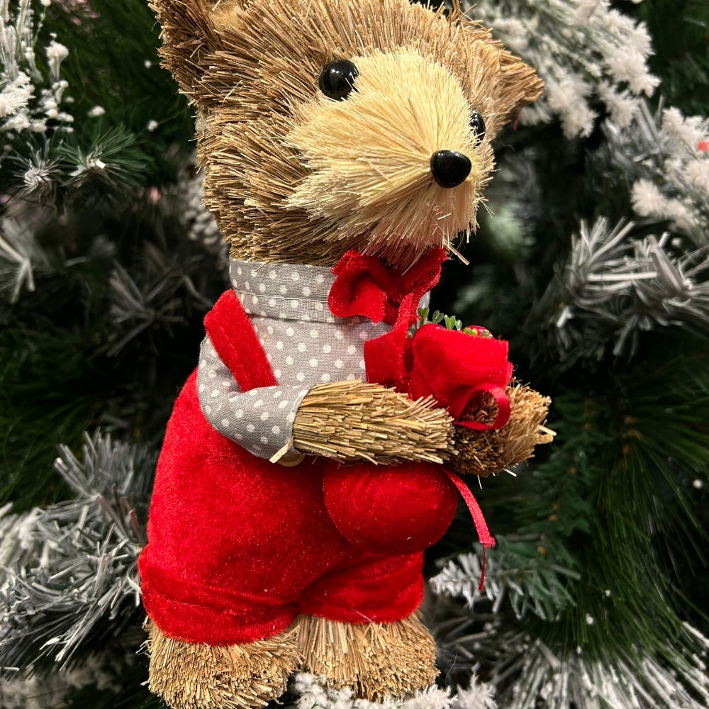 Thomas the Cane Teddy