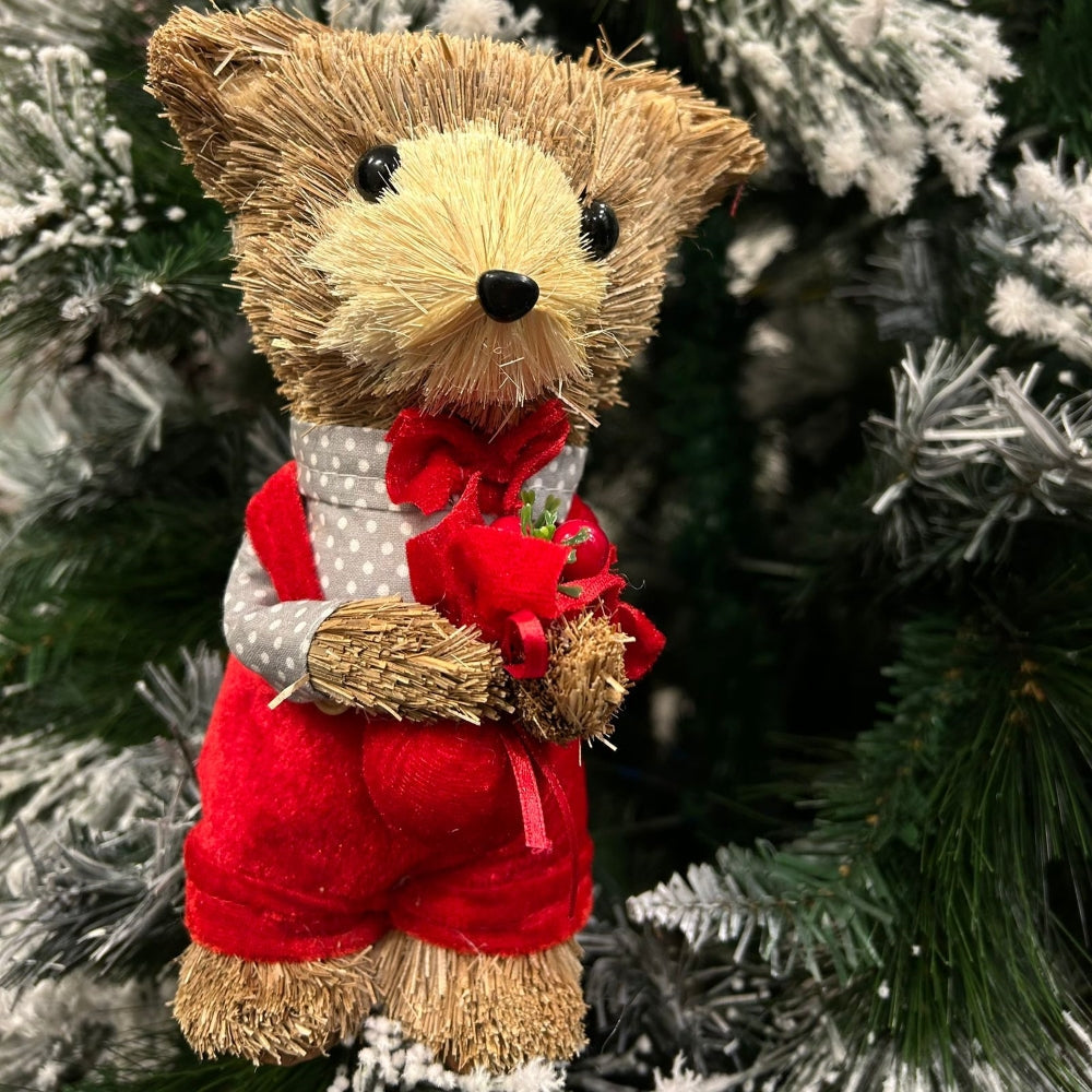 Thomas the Cane Teddy