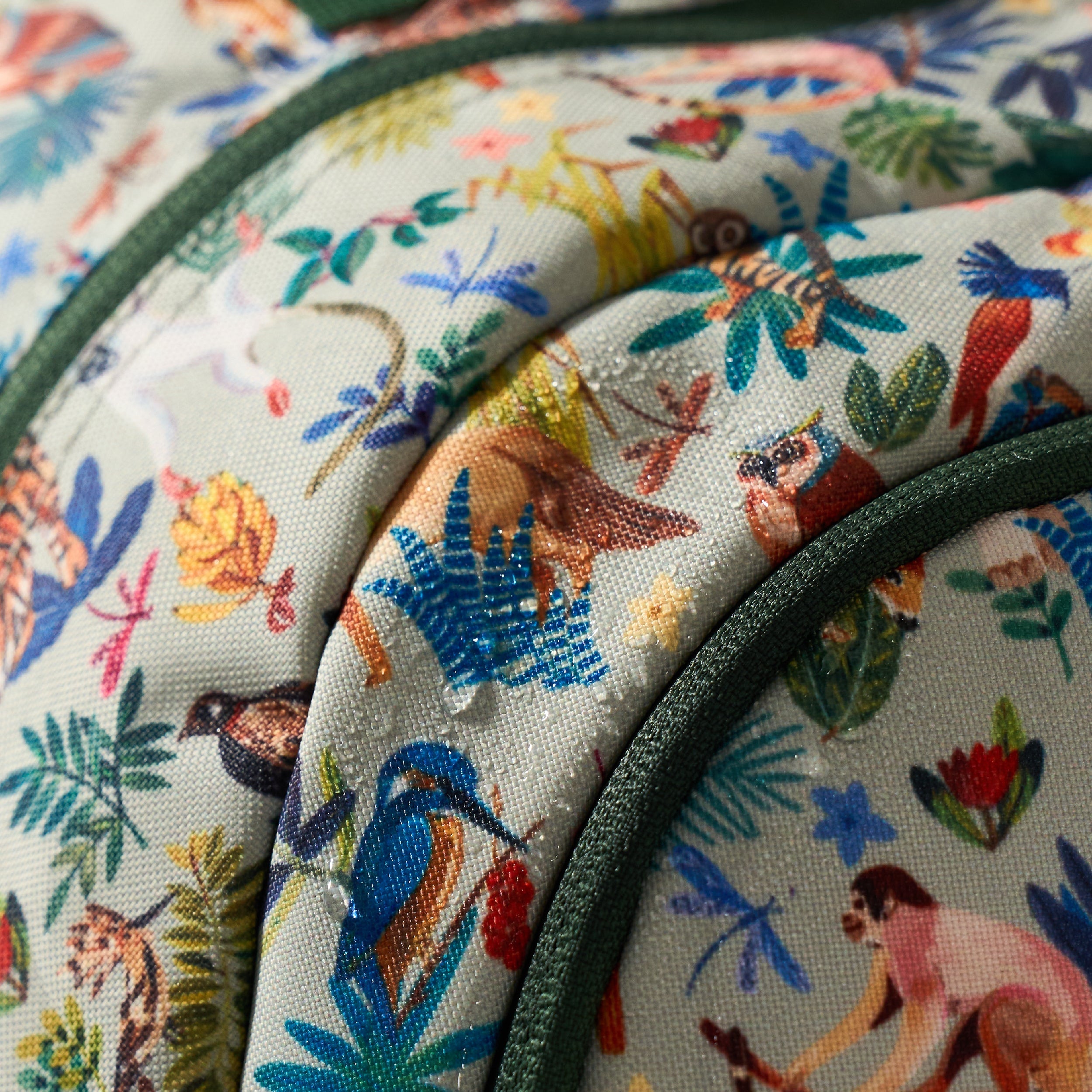 A Canopy in Kanha Backpack
