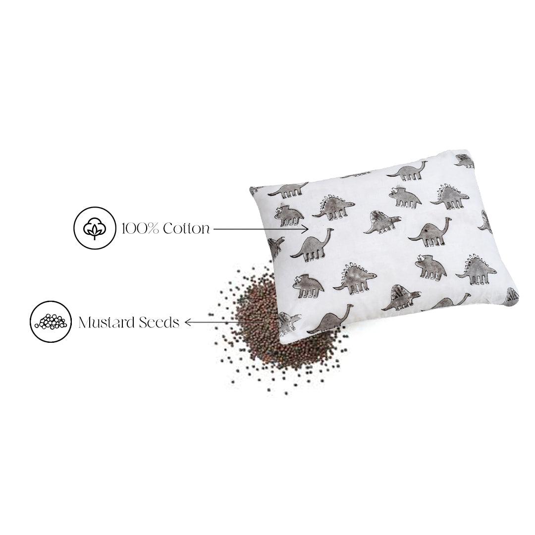 Dino Rai Pillow