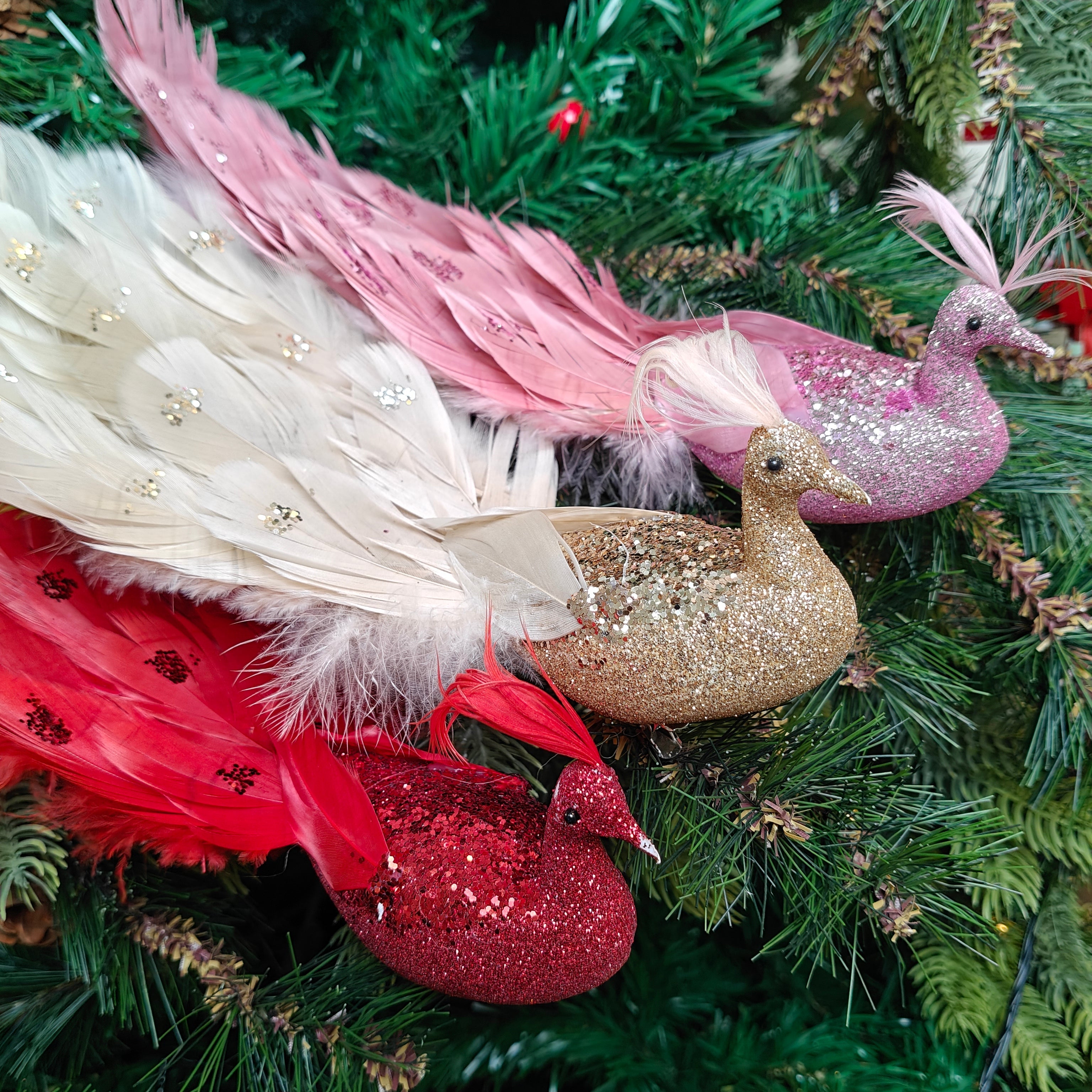 Feather Luxe Clip-On  Peacock Ornament - Set of 3