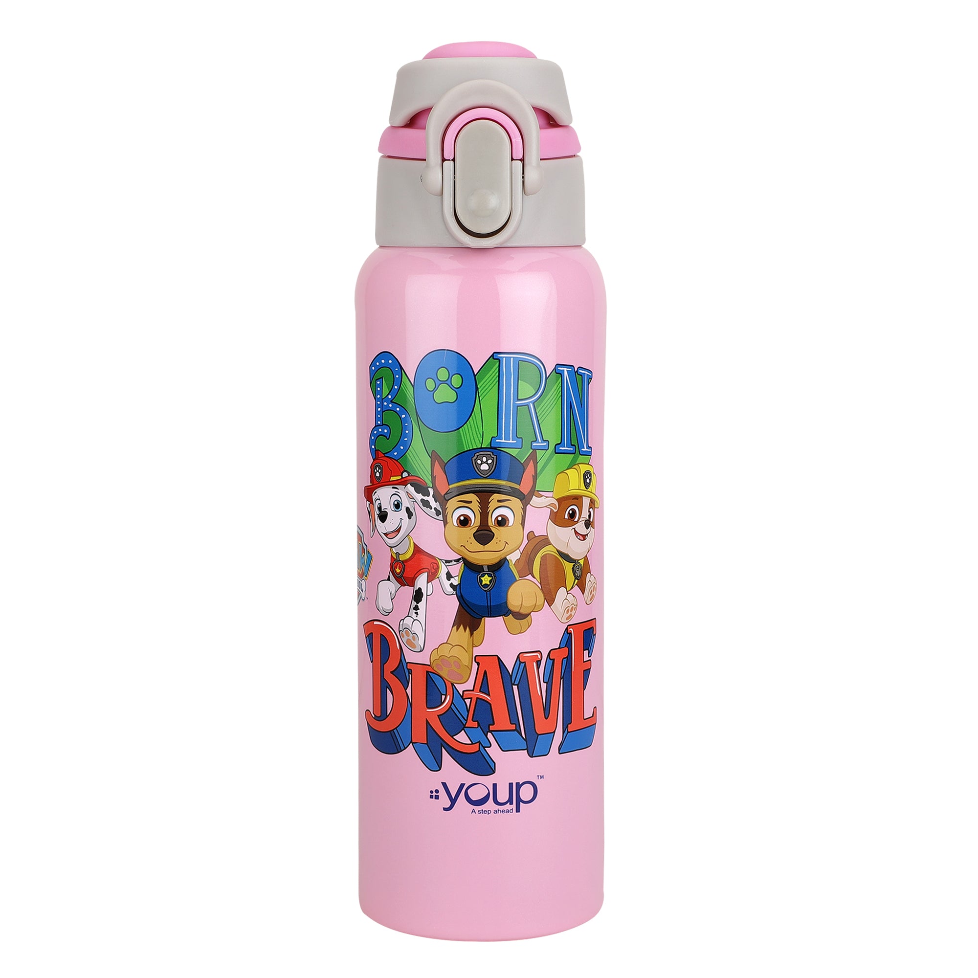 Stainless Steel Paw Patrol Kids Insulated Water Bottle Tiktok - 600 Ml