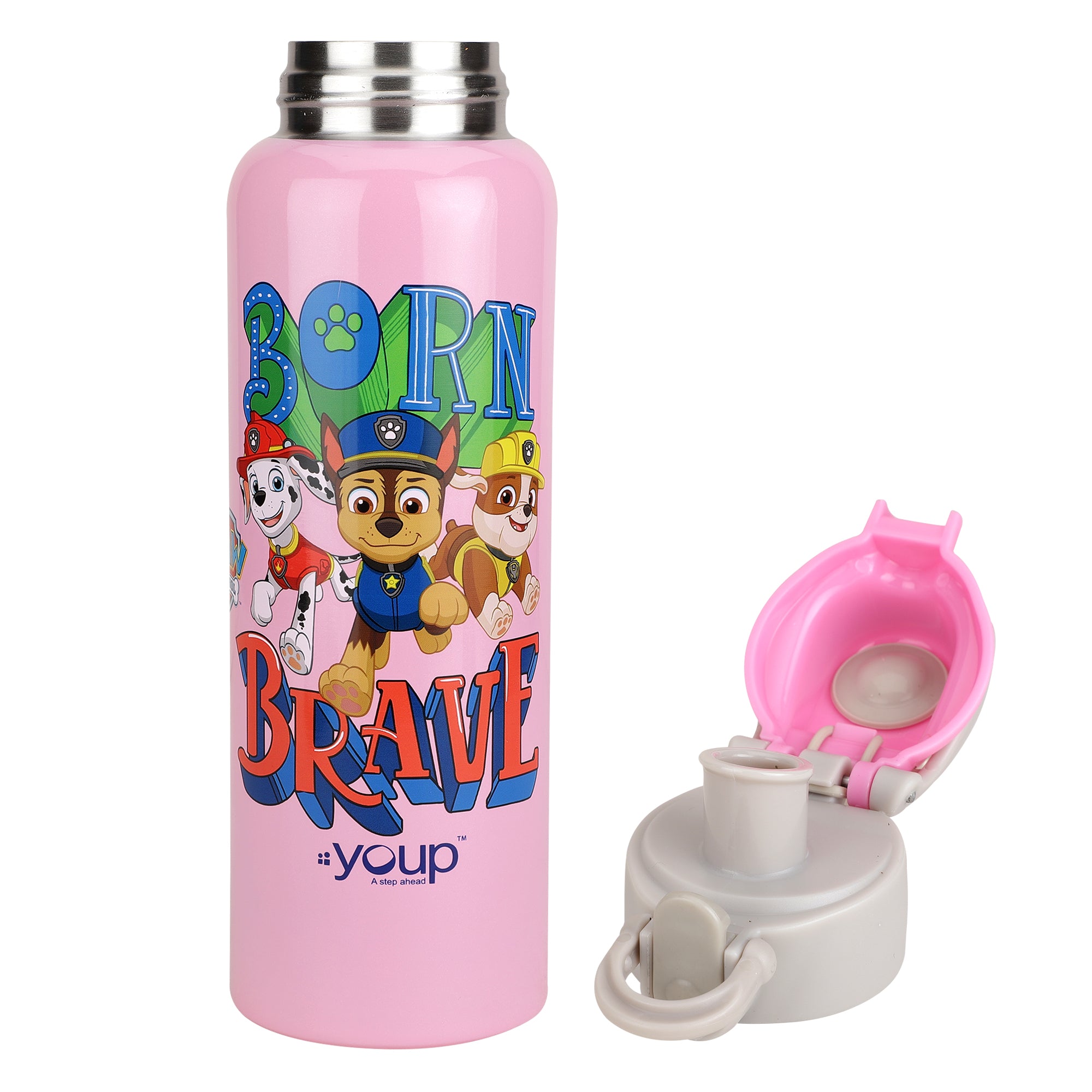 Stainless Steel Paw Patrol Kids Insulated Water Bottle Tiktok - 600 Ml