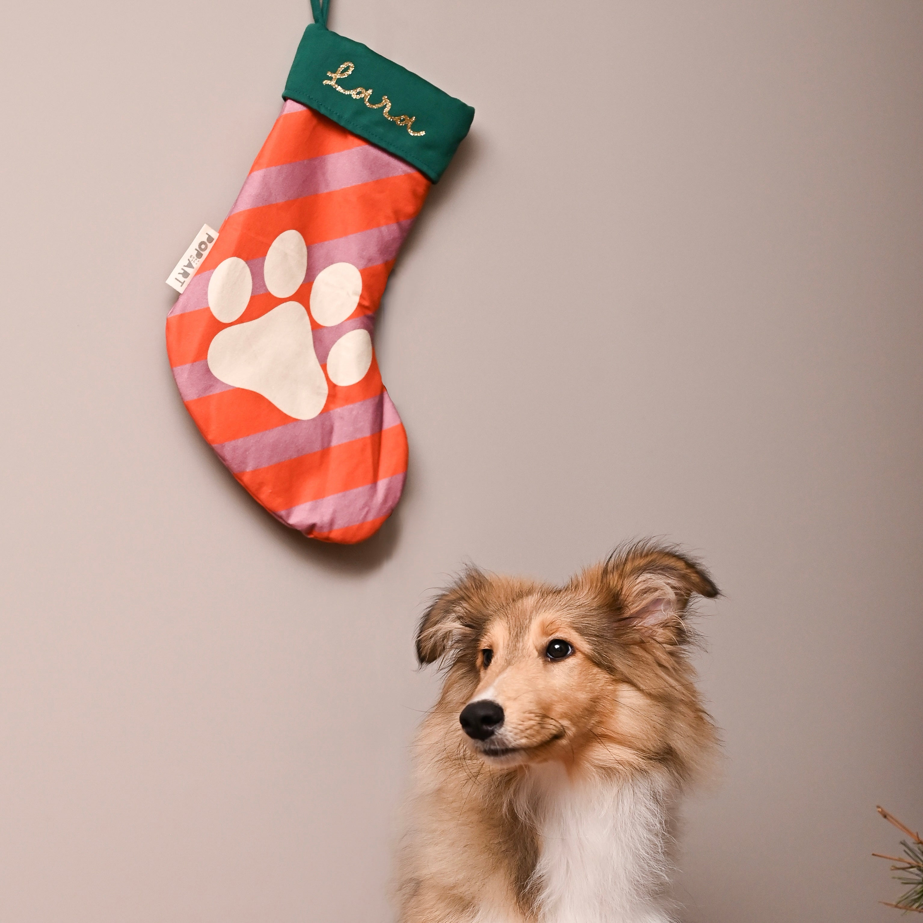 Personalised Stocking | Pet