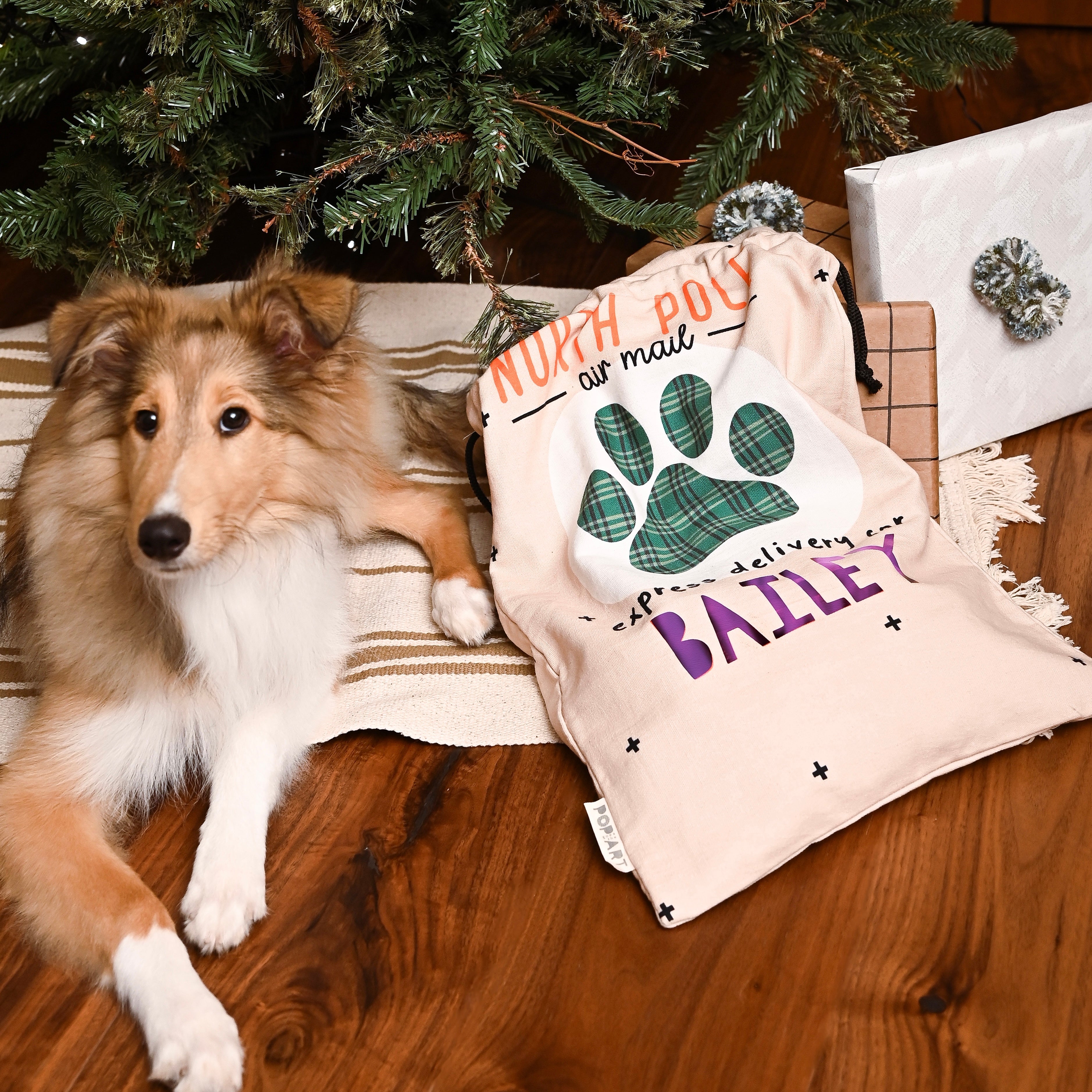 Personalised Sack - Pet