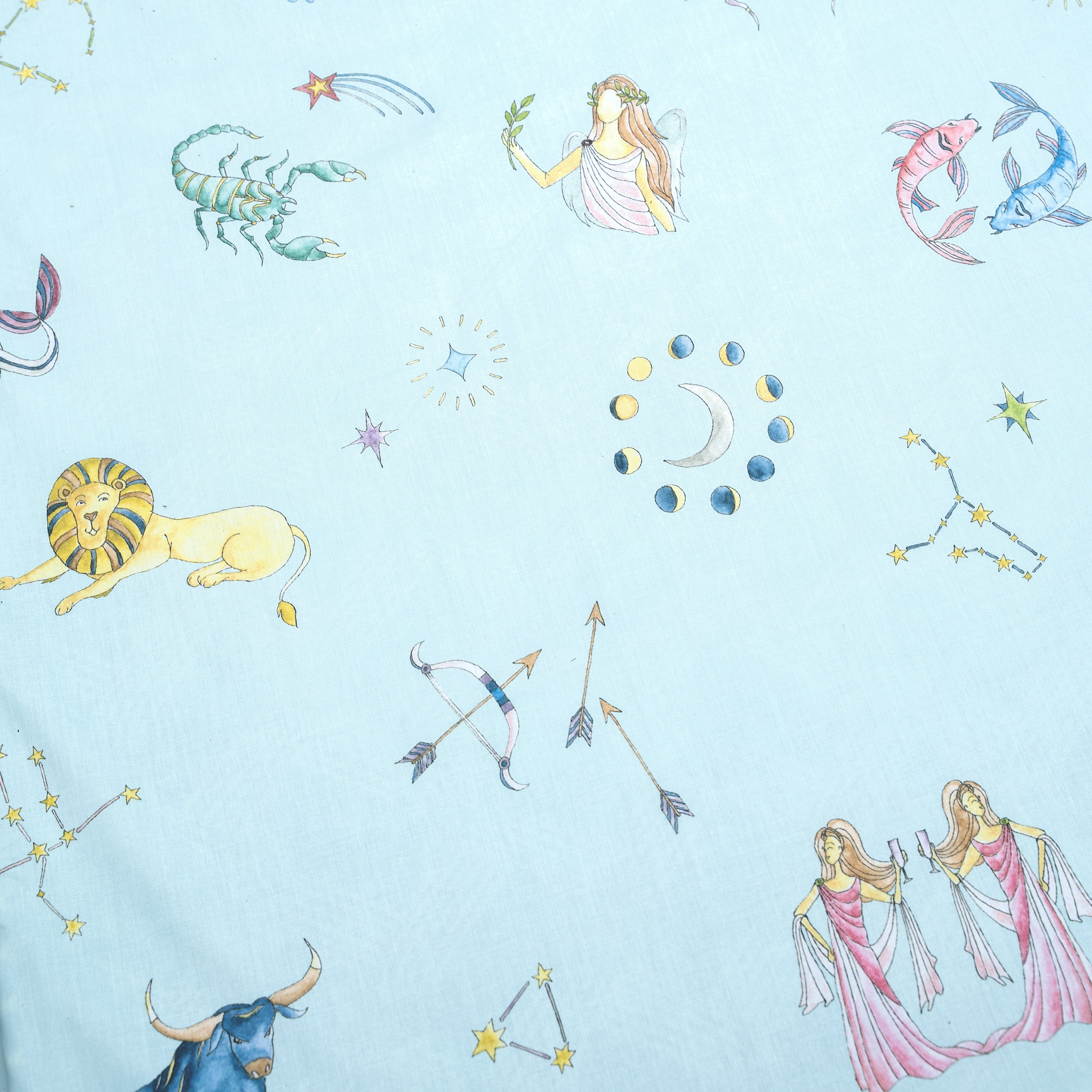 Star Chasers Bed Sheet