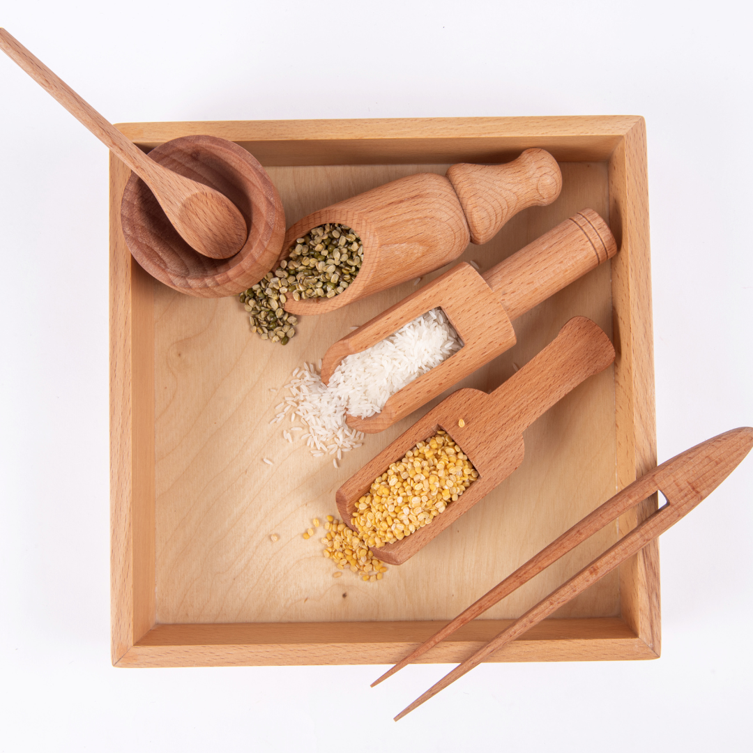 Sensory Wooden Toy Set with Montessori Tray (Beech Wood) - Totdot