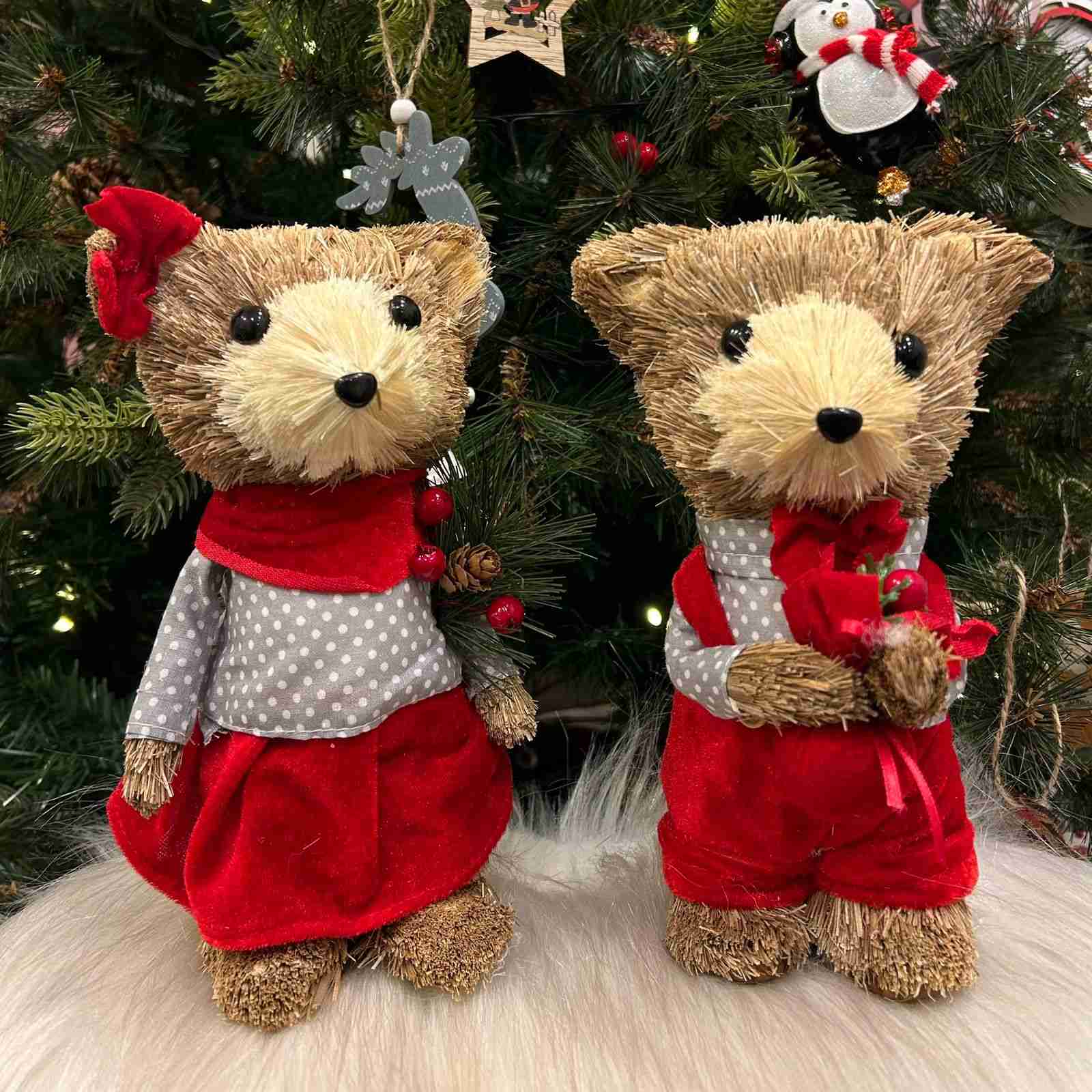 Tessa the Cane Teddy