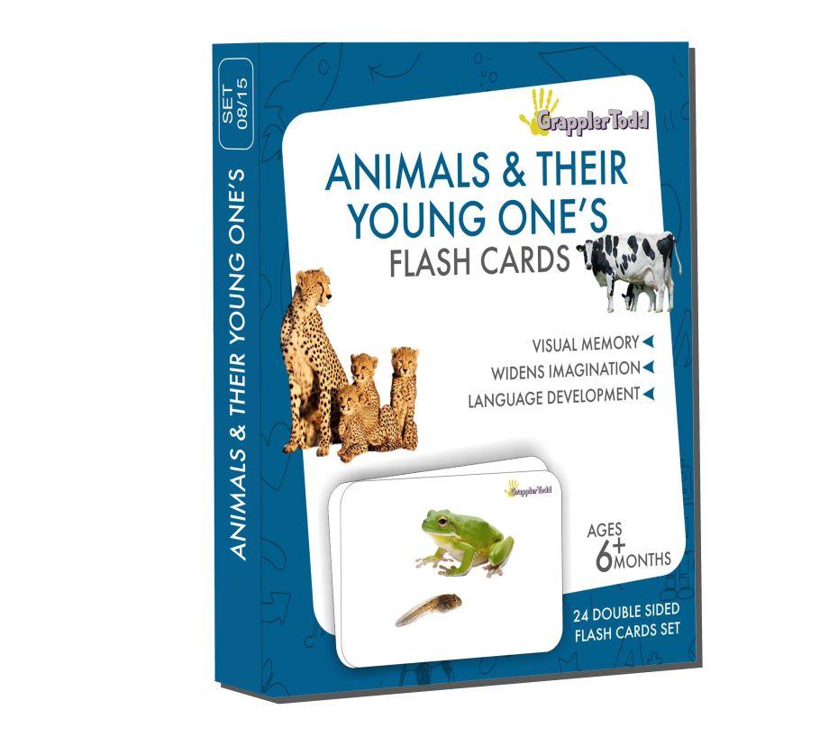 Aquatic Animals Flash Cards - Totdot