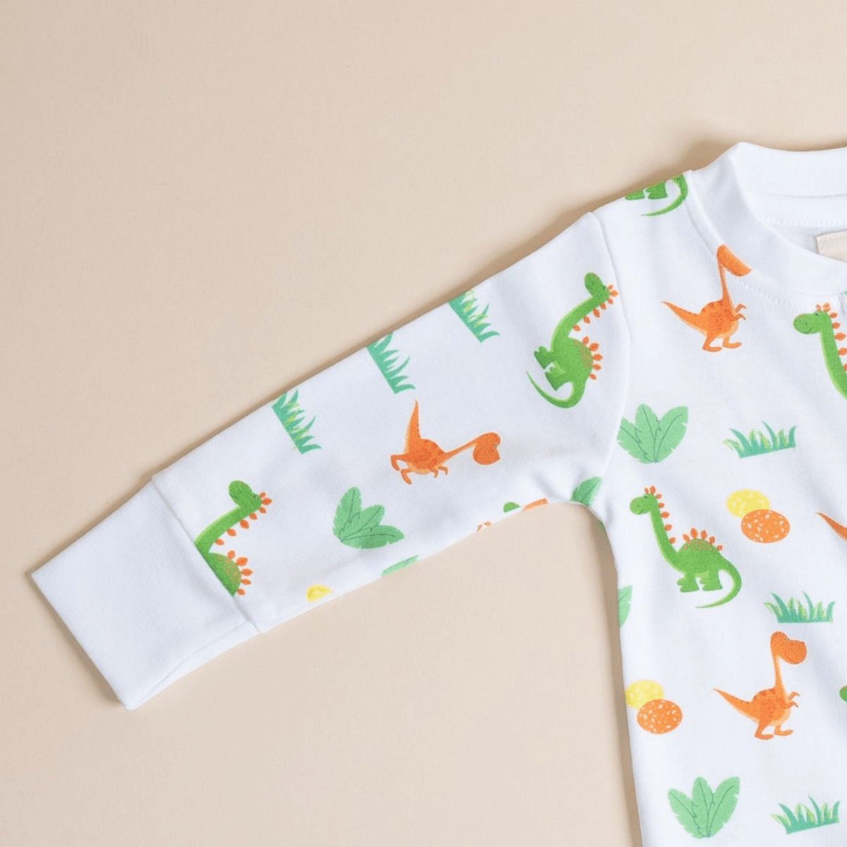 Dino and Eggs - Onesie - Totdot