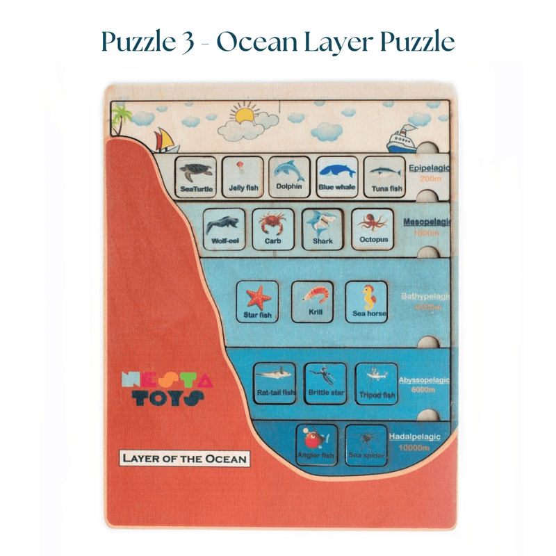 Geography Lover Combo - Earth Core, Water Cycle & Ocean Layer Puzzle - Totdot