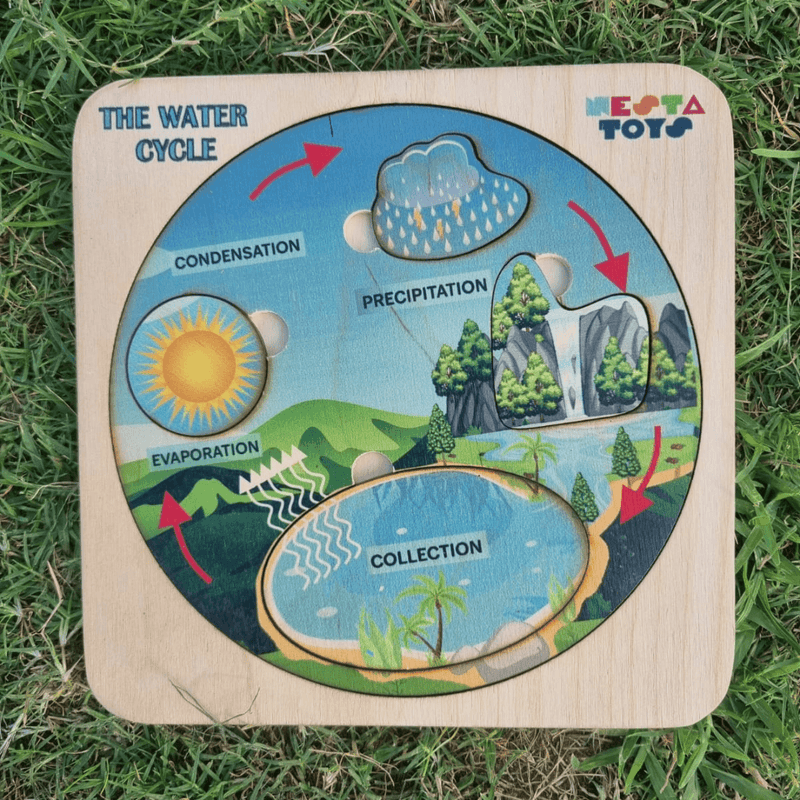 Montessori Wooden Water Cycle Puzzle | Educational STEM Learning Toy - Totdot