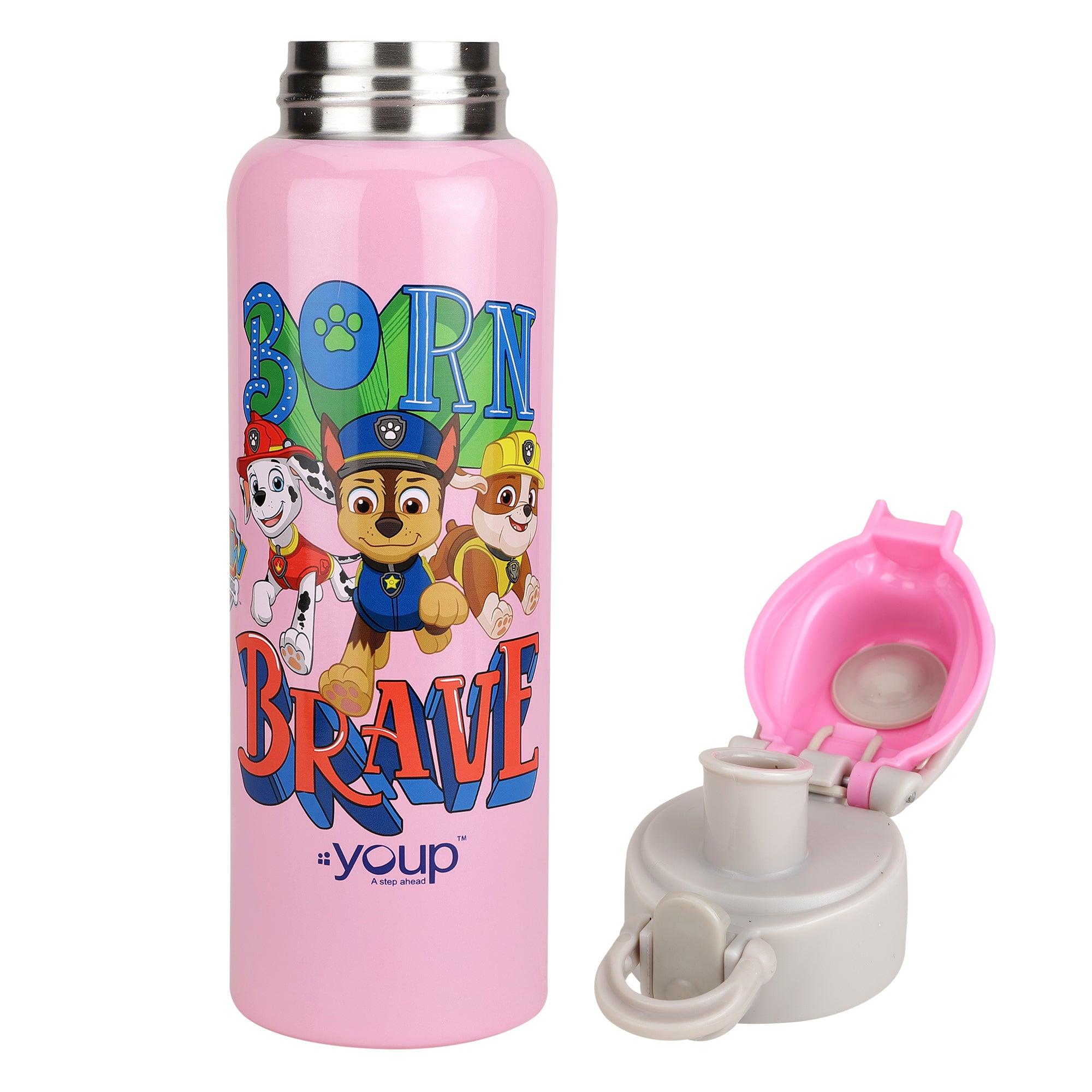 Paw Patrol Kids Insulated Water Bottle TIKTOK - 600 ml - Totdot