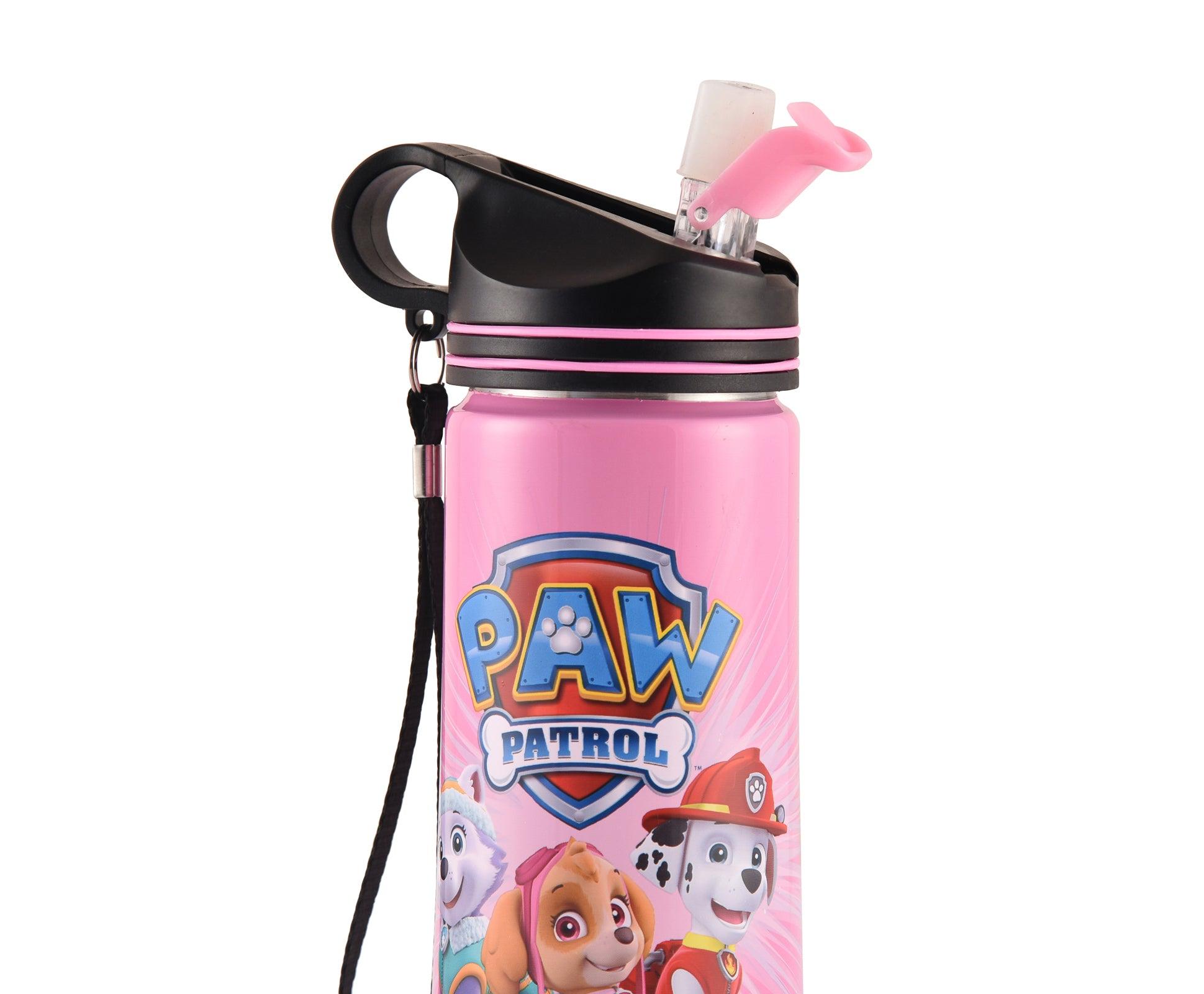 Paw Patrol kids sipper bottle DAISY - 750 ml Stainless steel - Totdot