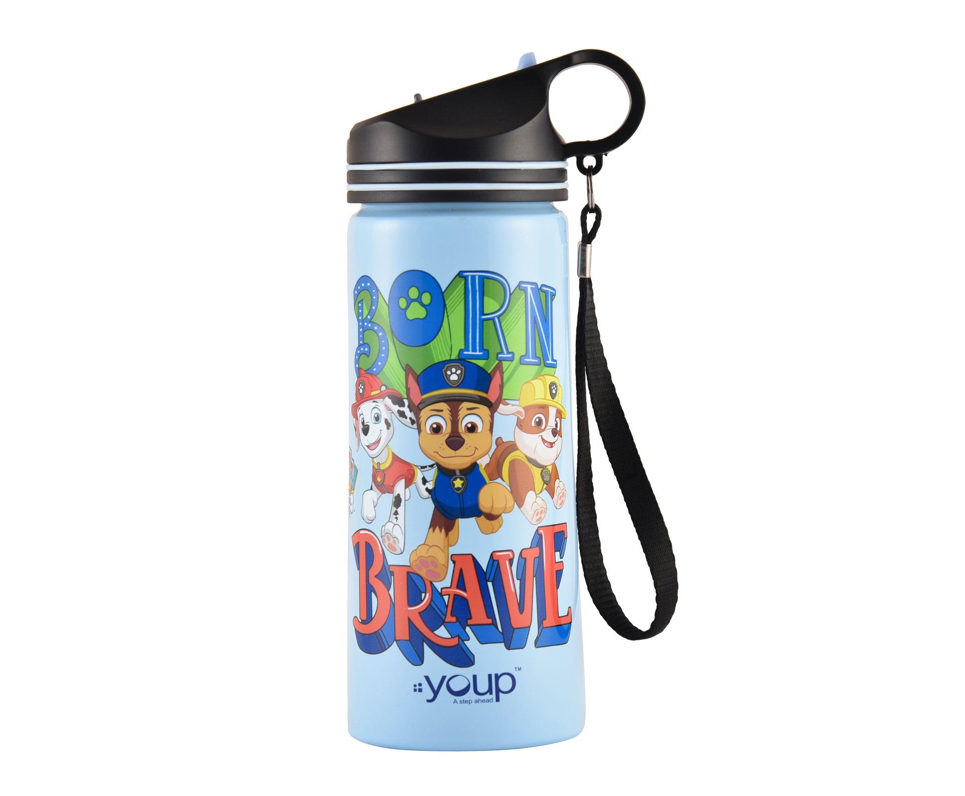 Paw Patrol kids sipper bottle DAISY - 750 ml Stainless steel - Totdot