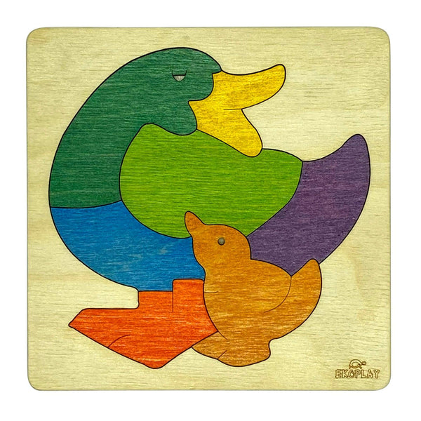 Rainbow Duck - Totdot
