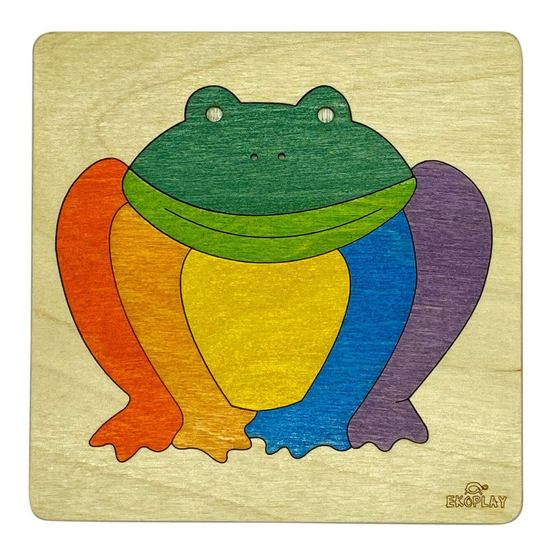 Rainbow Frog - Totdot