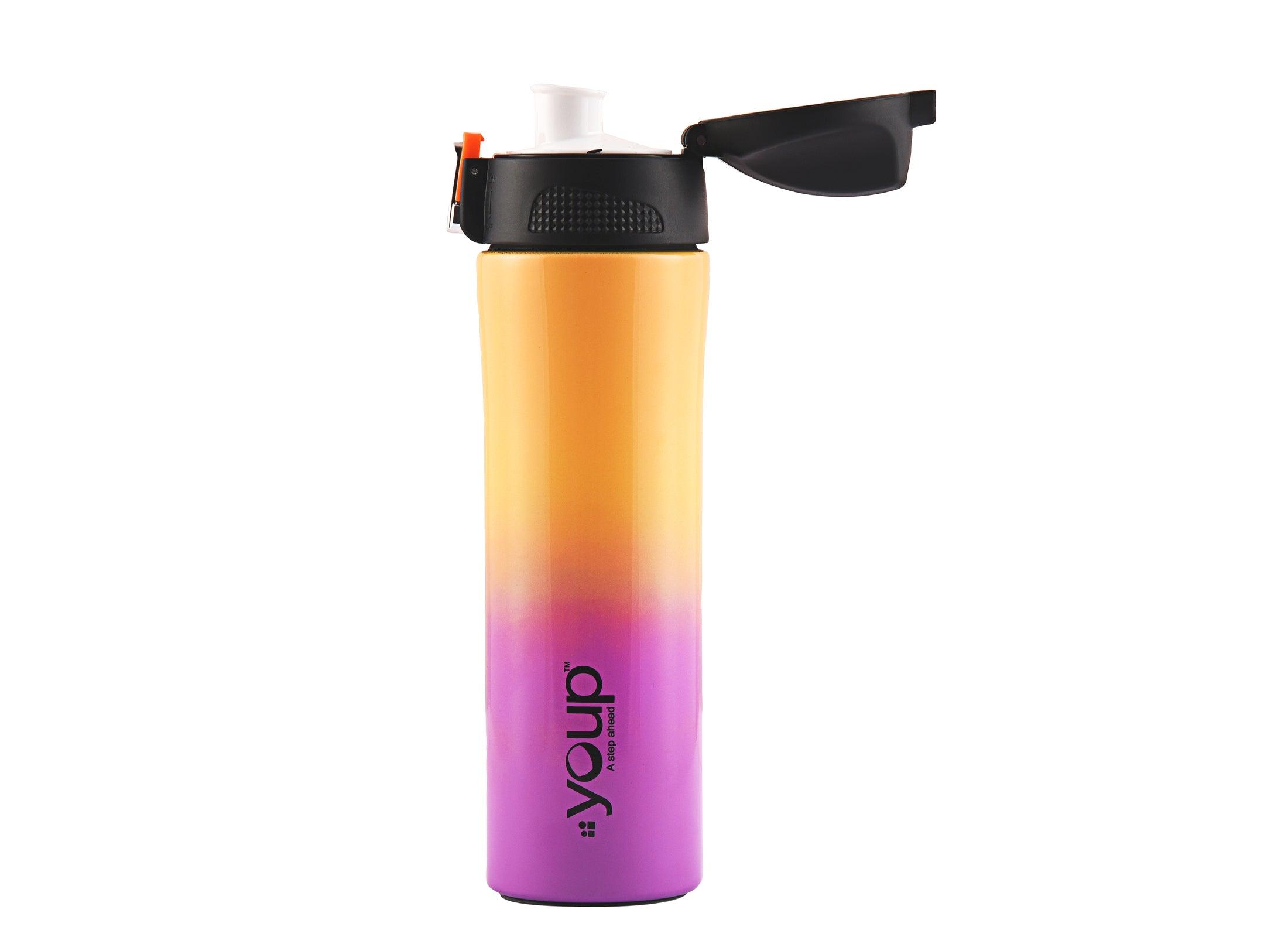 Thermosteel insulated water bottle LEXUS - 500 ml - Totdot