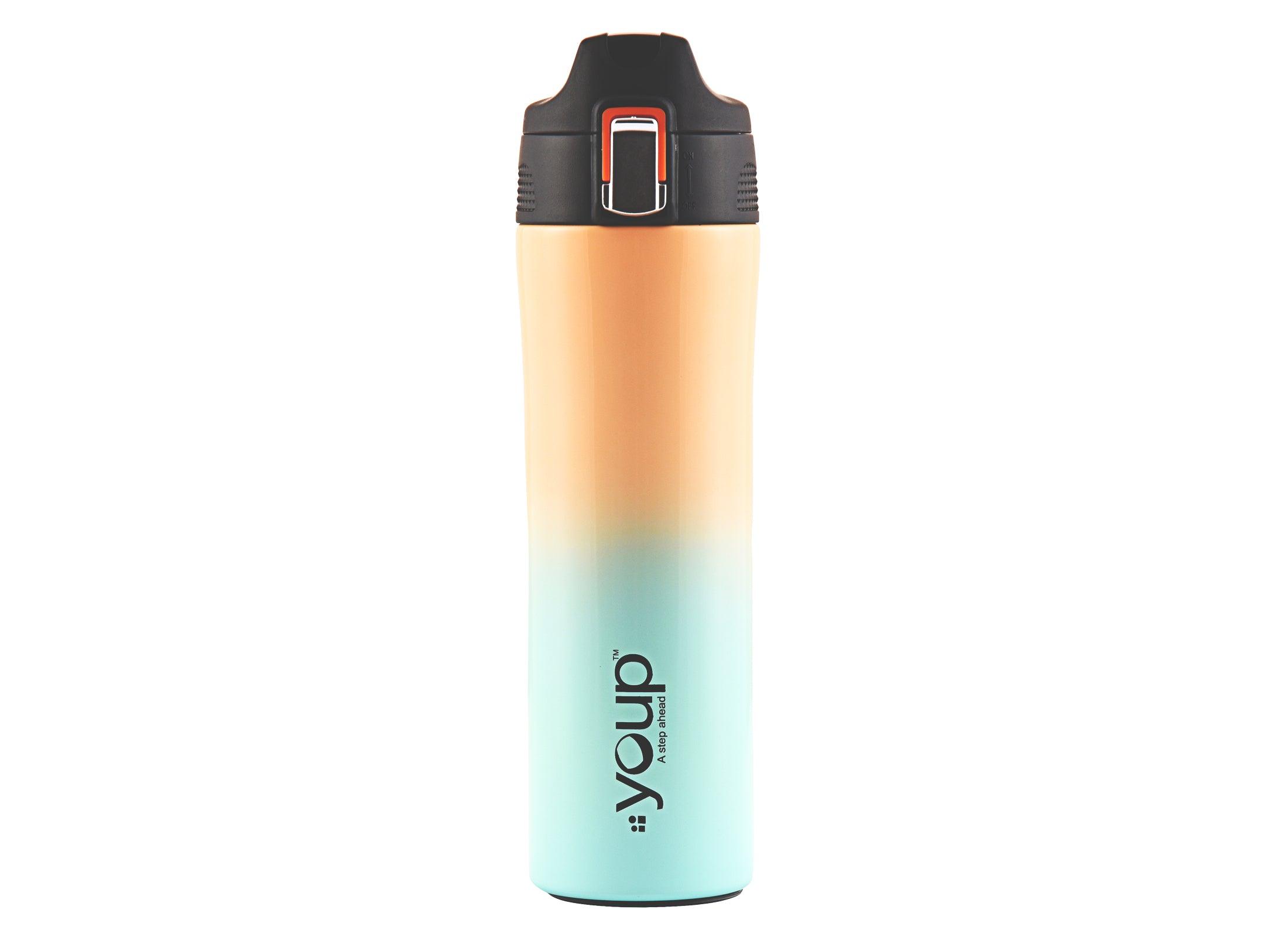 Thermosteel insulated water bottle LEXUS - 500 ml - Totdot