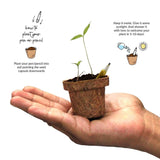 5+5 Plantable Eco Pens & Pencil - Totdot