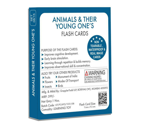 Animals And Their Young One's Flash Cards - Totdot