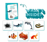 Aquatic Animals Flash Cards - Totdot